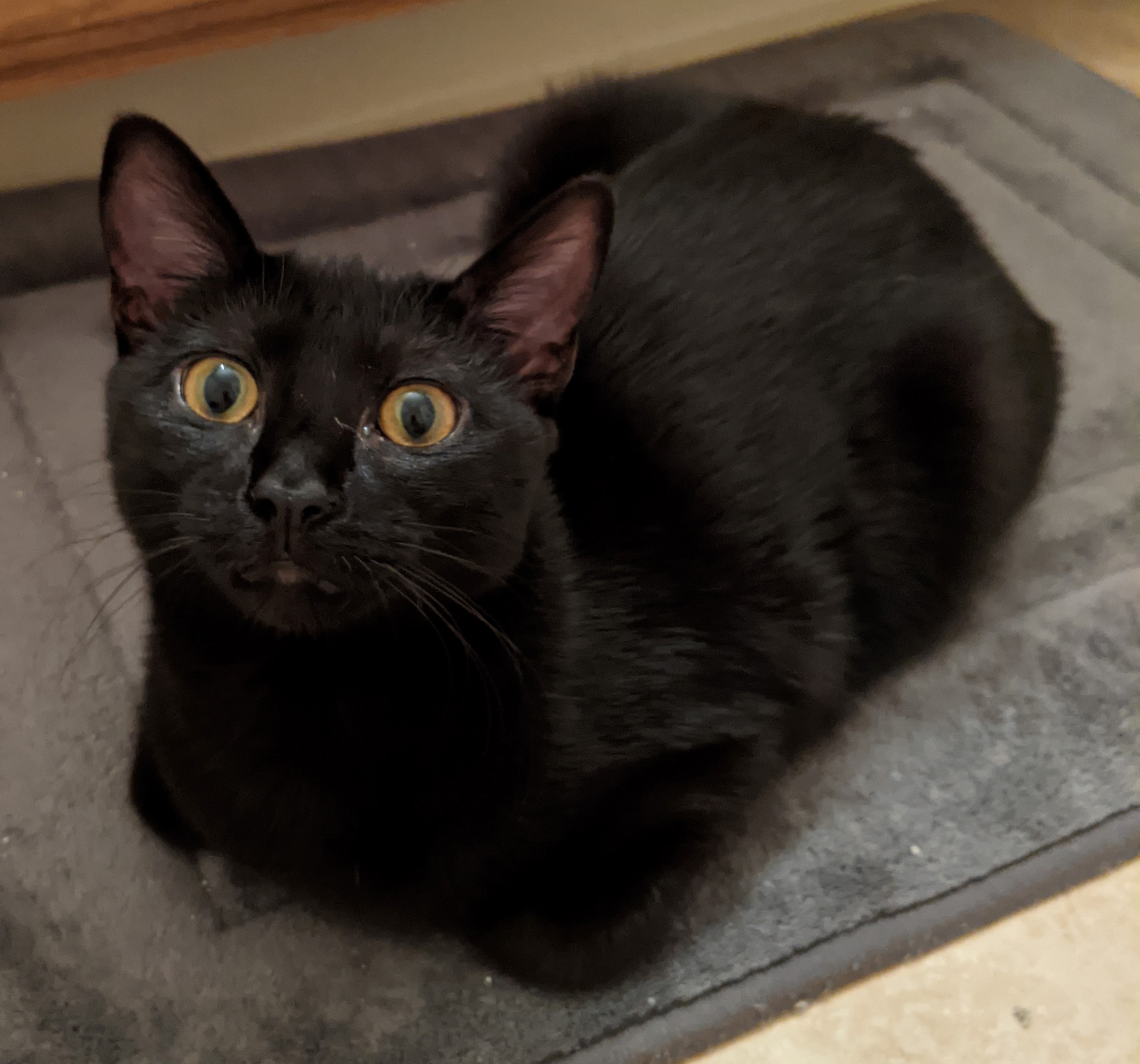 user avatar image for Kristin