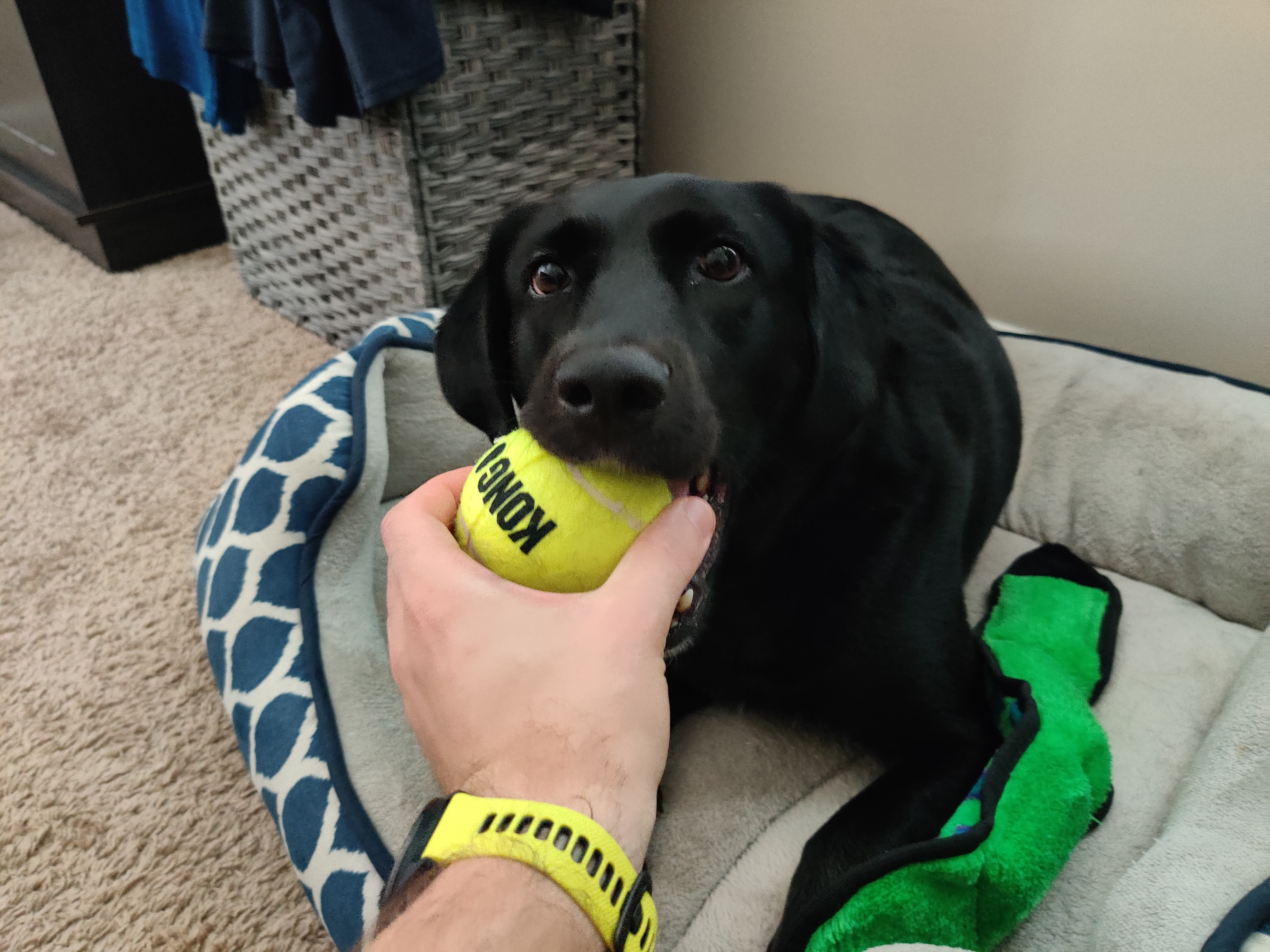 user avatar image for Tim Gräning