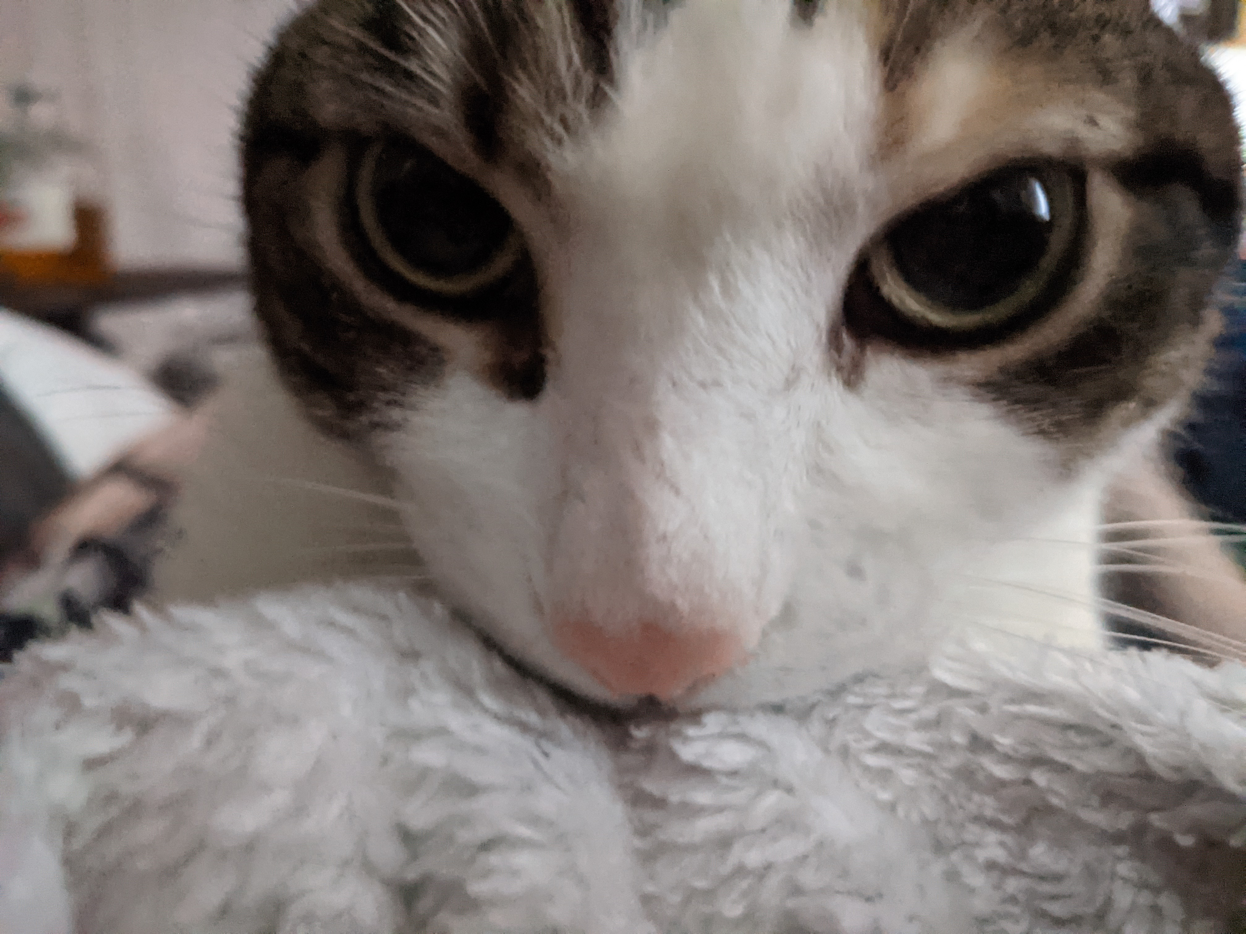 user avatar image for Stephen K