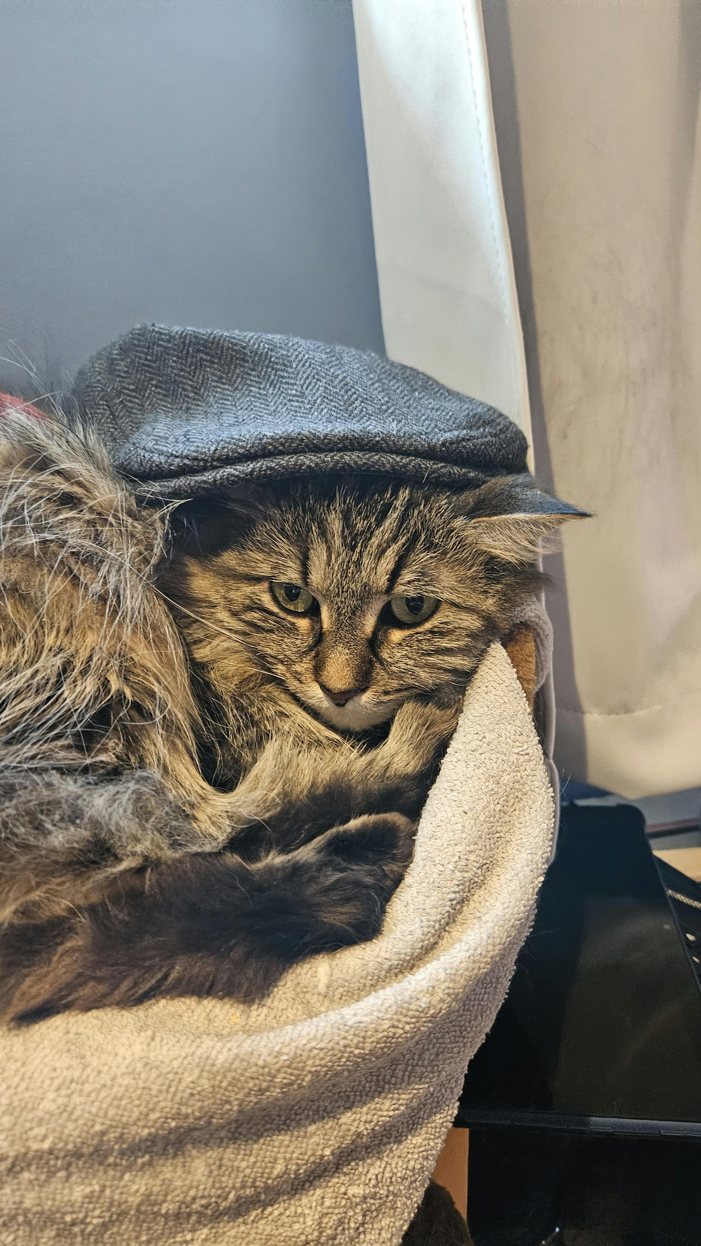 user avatar image for Erick Morin 