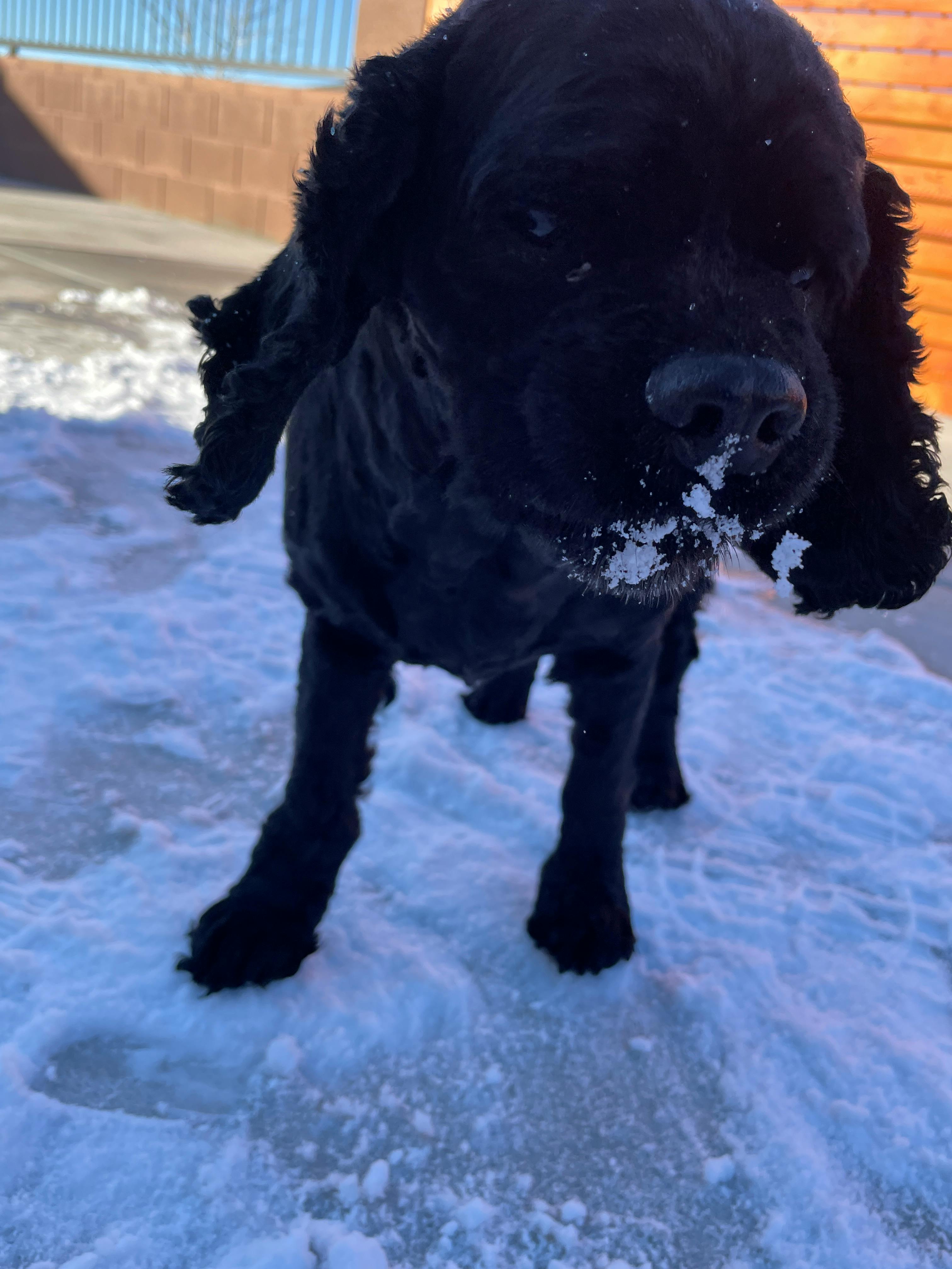 user avatar image for Bailey Smith