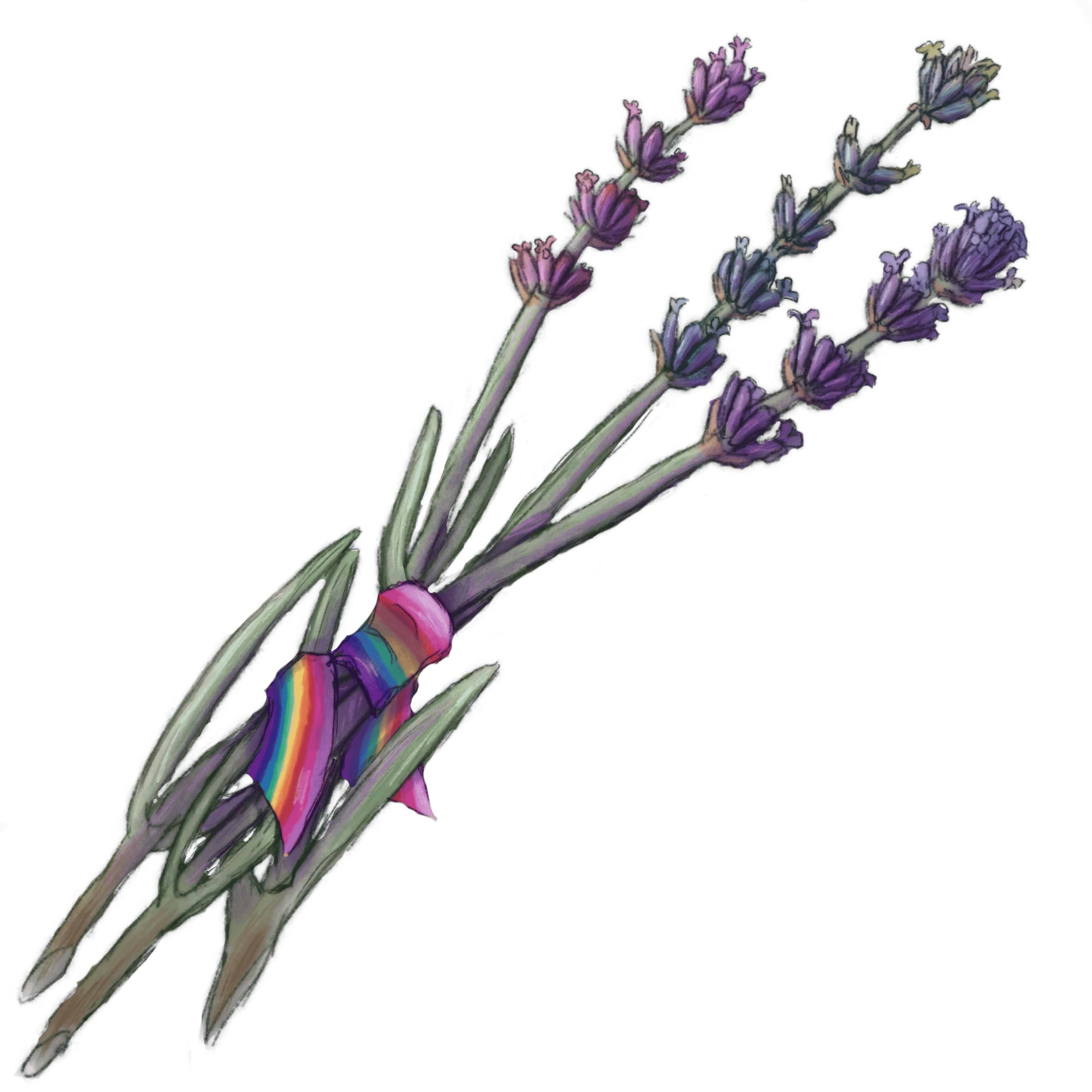 user avatar image for the masquerade council