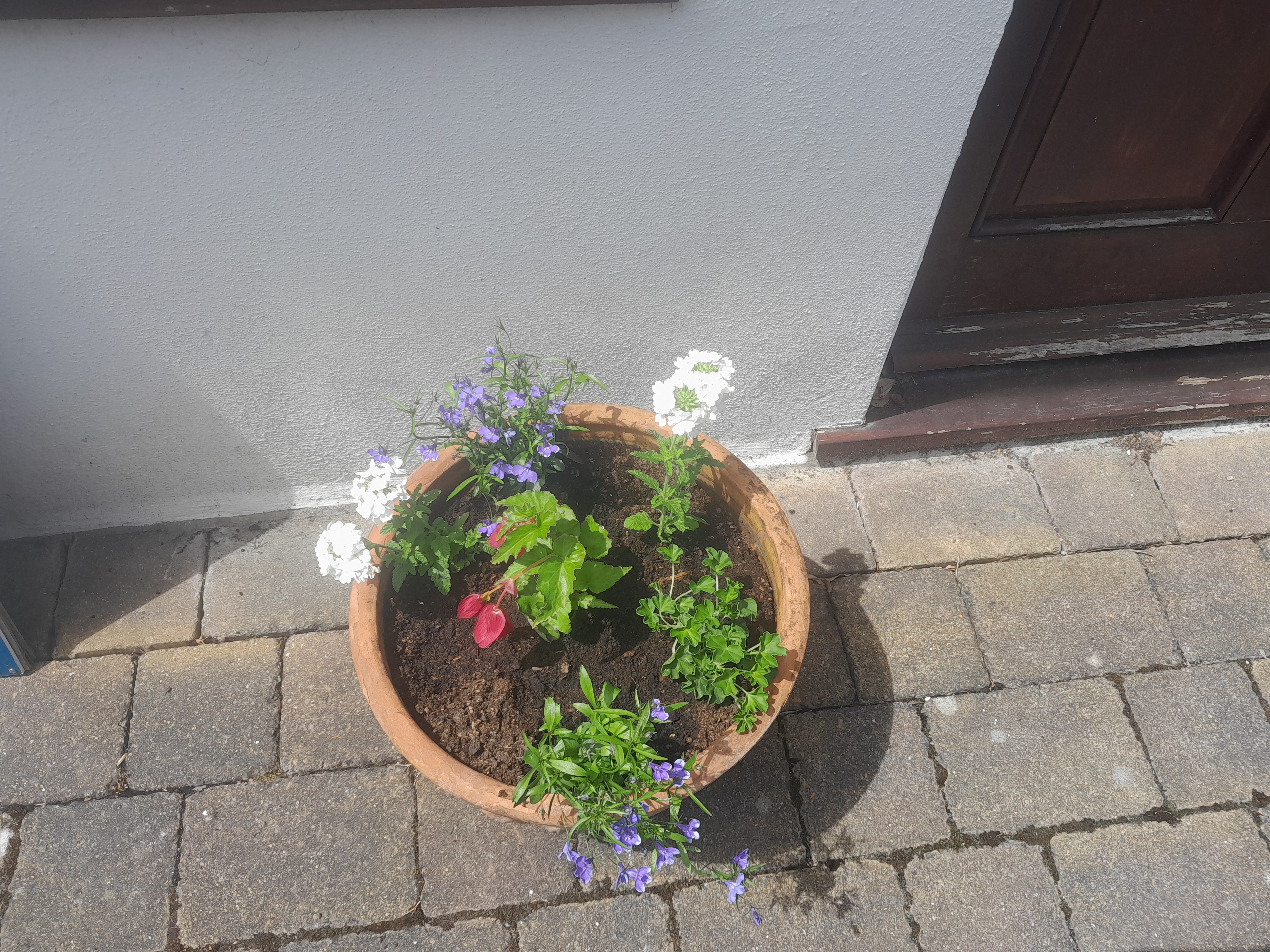 user avatar image for Just Jacque