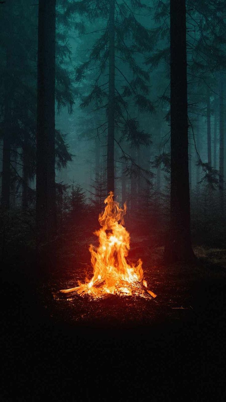 user avatar image for Brian 