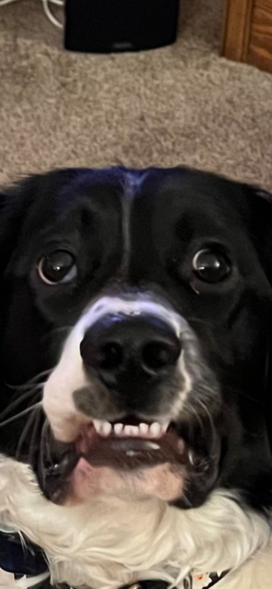 user avatar image for Kellie