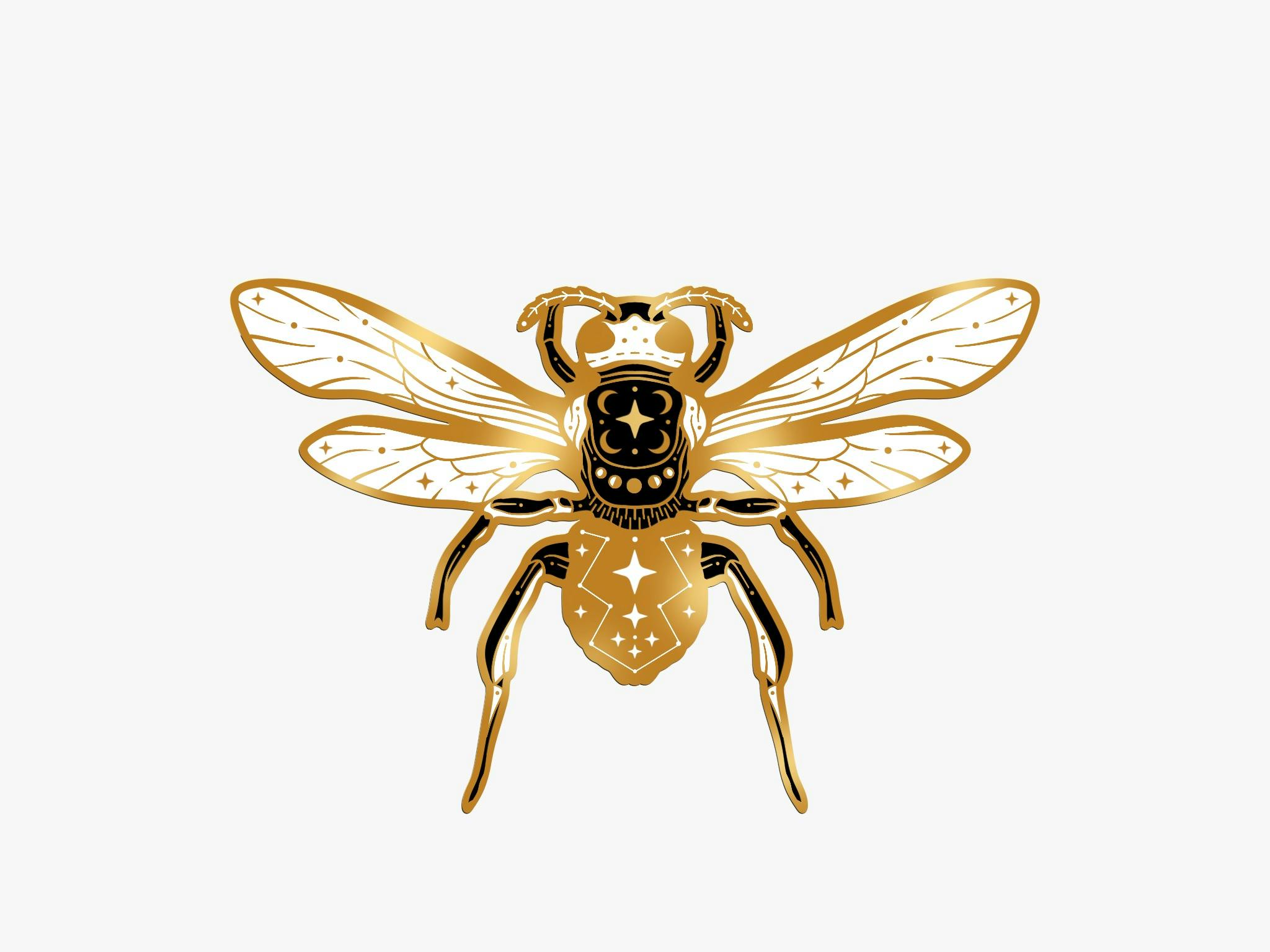 user avatar image for auroragazi