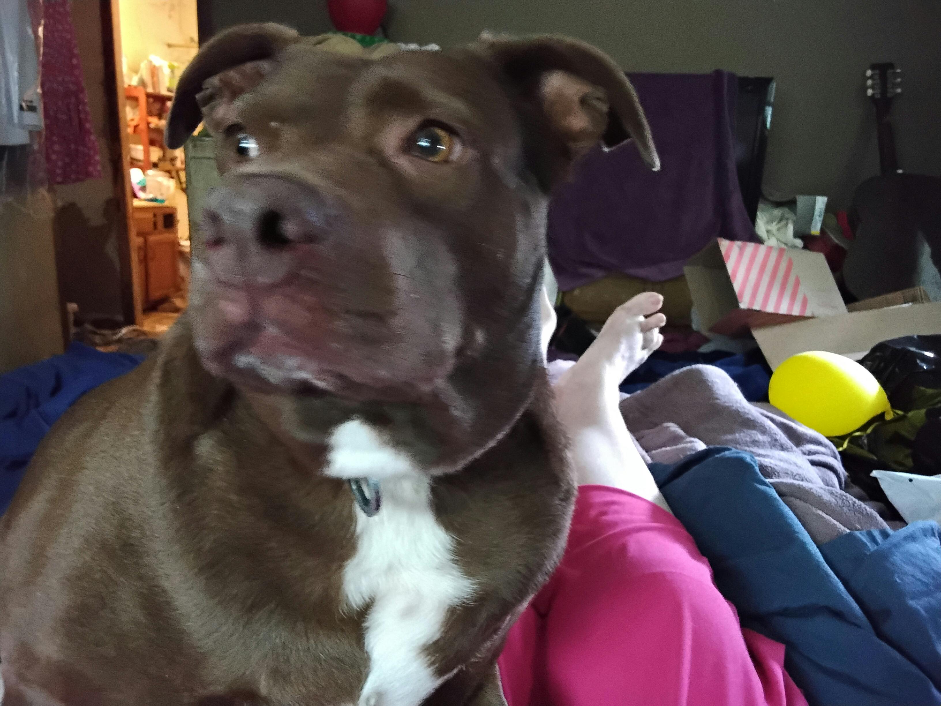 user avatar image for  Lori Hicks