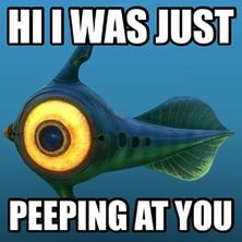 user avatar image for chimaera21