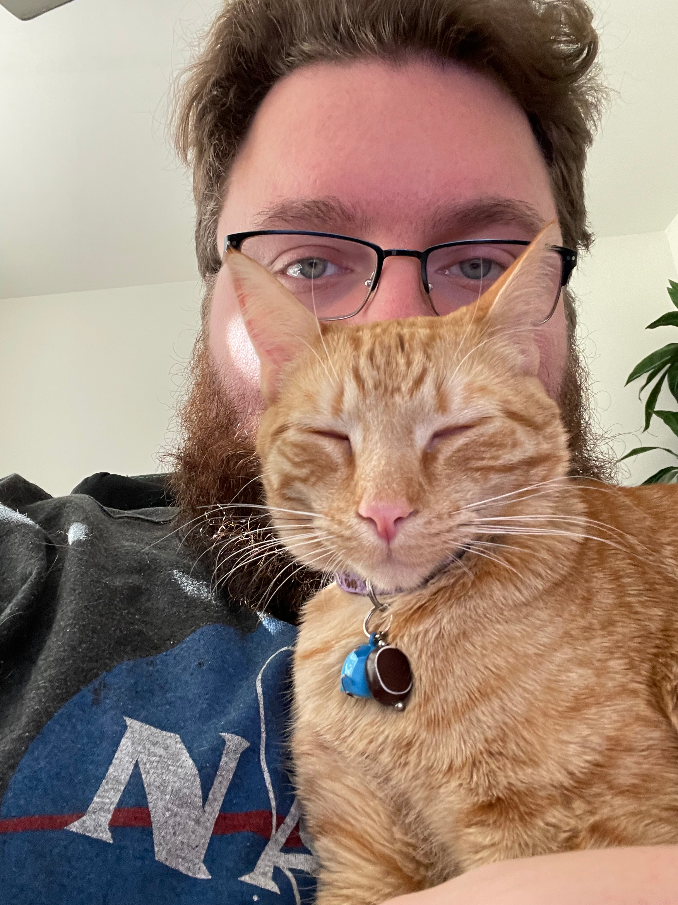 user avatar image for Bradfordly