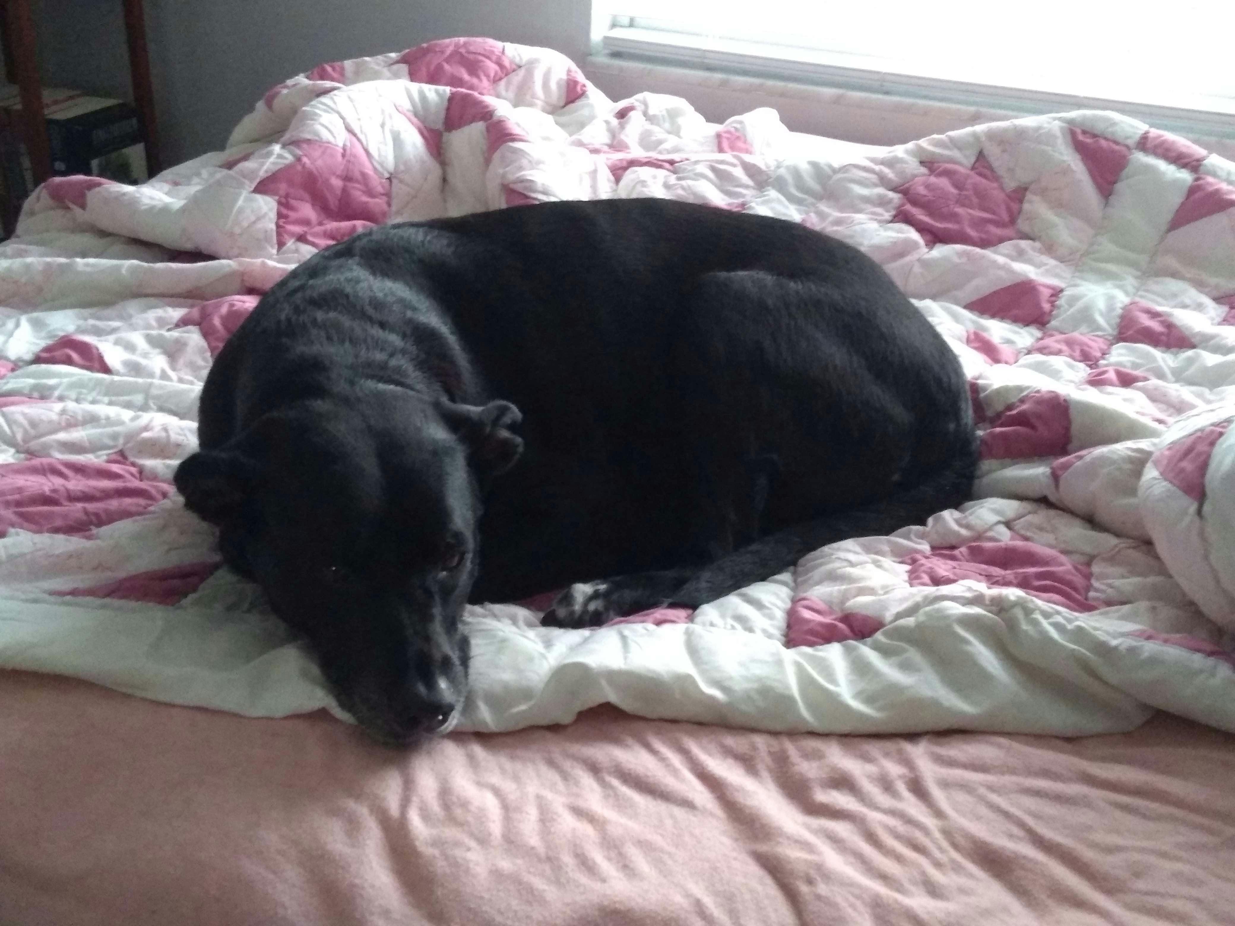 user avatar image for Nightwine