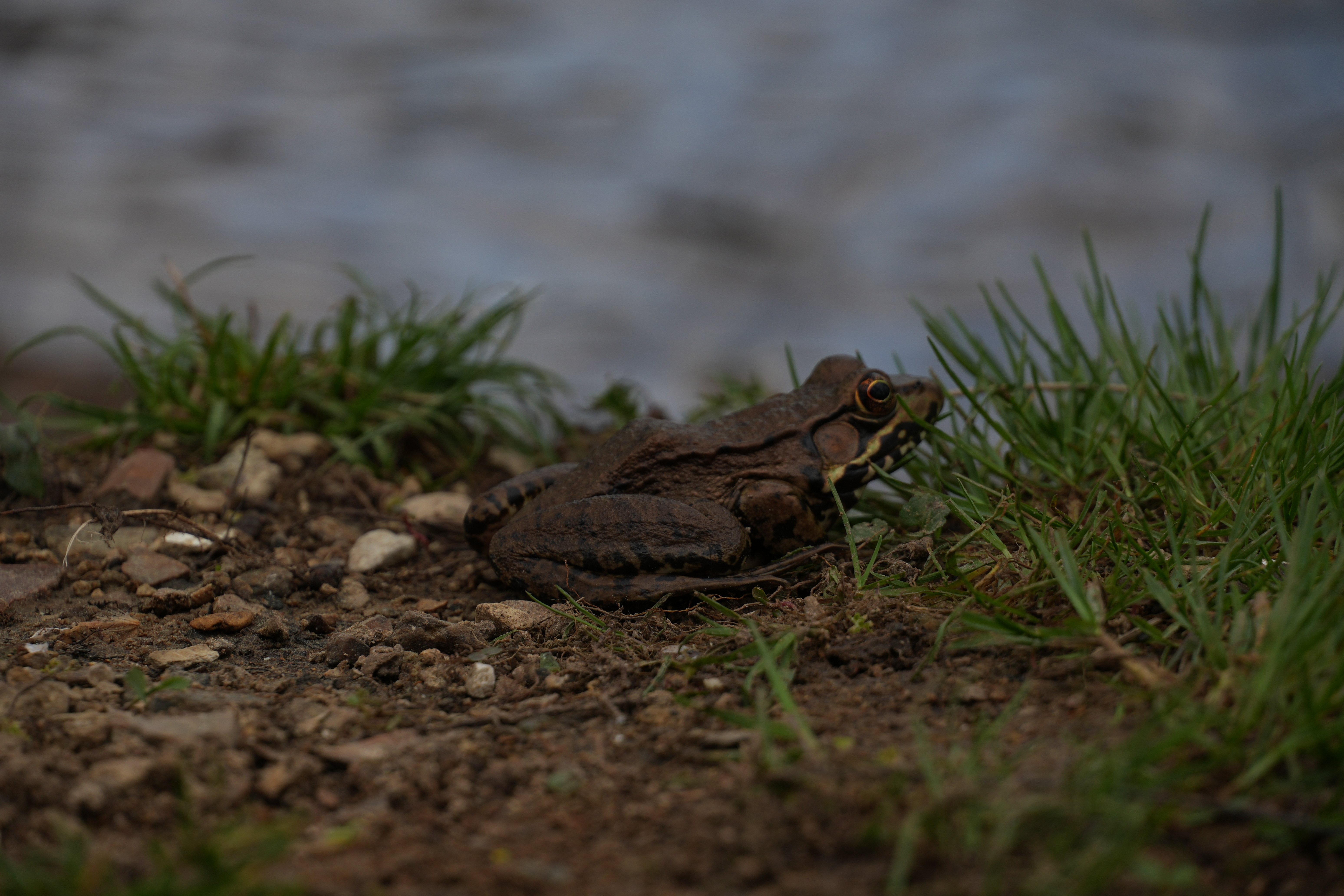 user avatar image for Aaron 