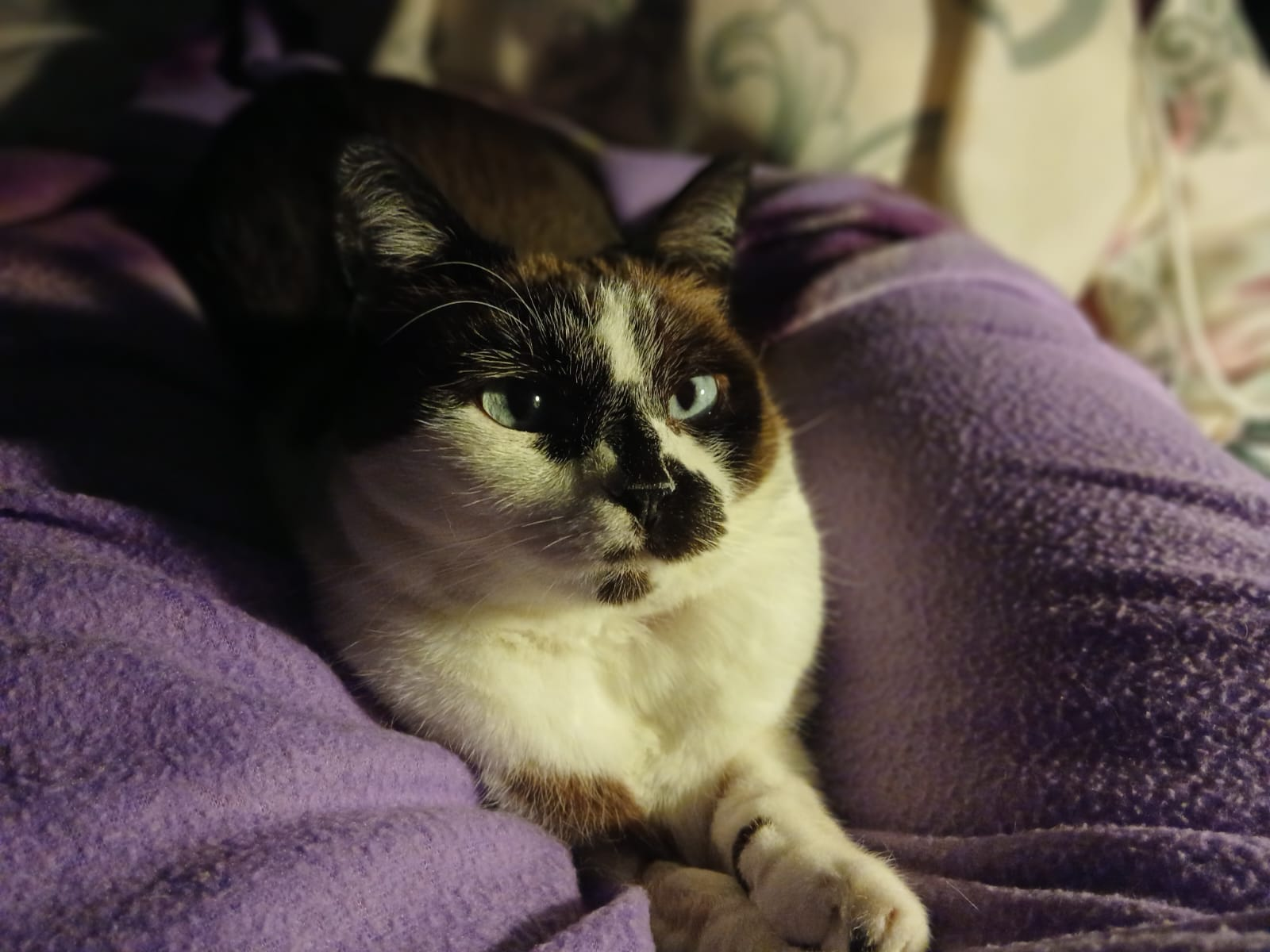 user avatar image for Celine86