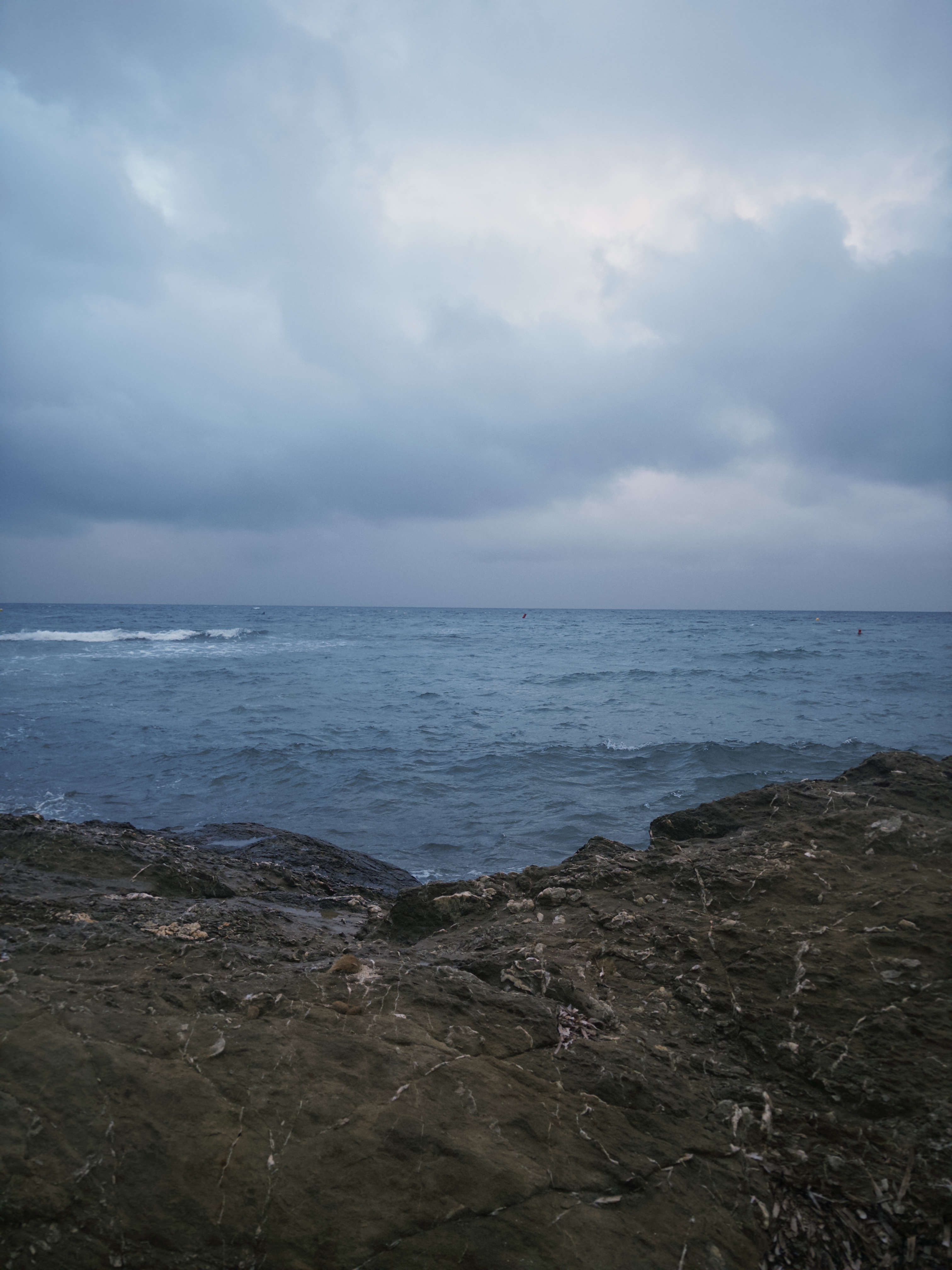 user avatar image for Marie 