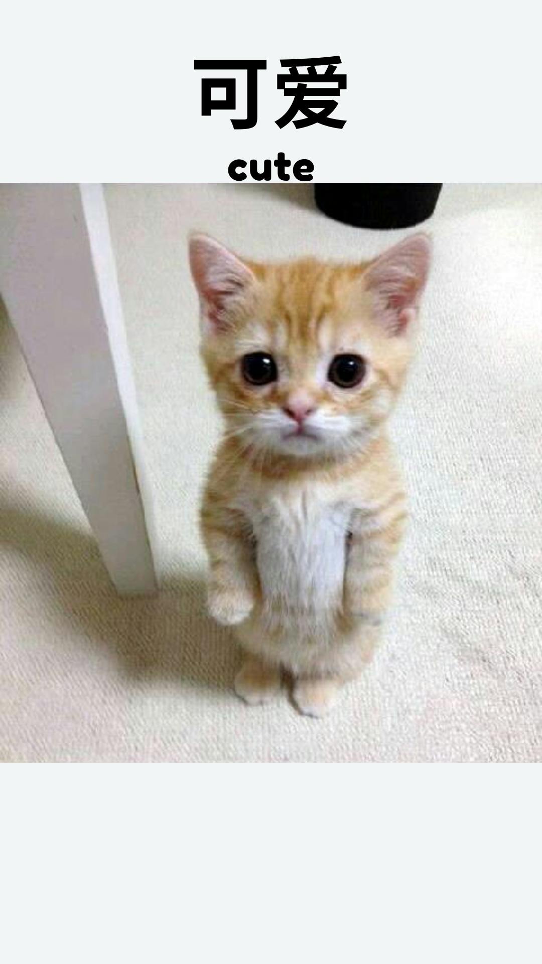 user avatar image for bethovenbade