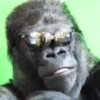 user avatar image for Jonny