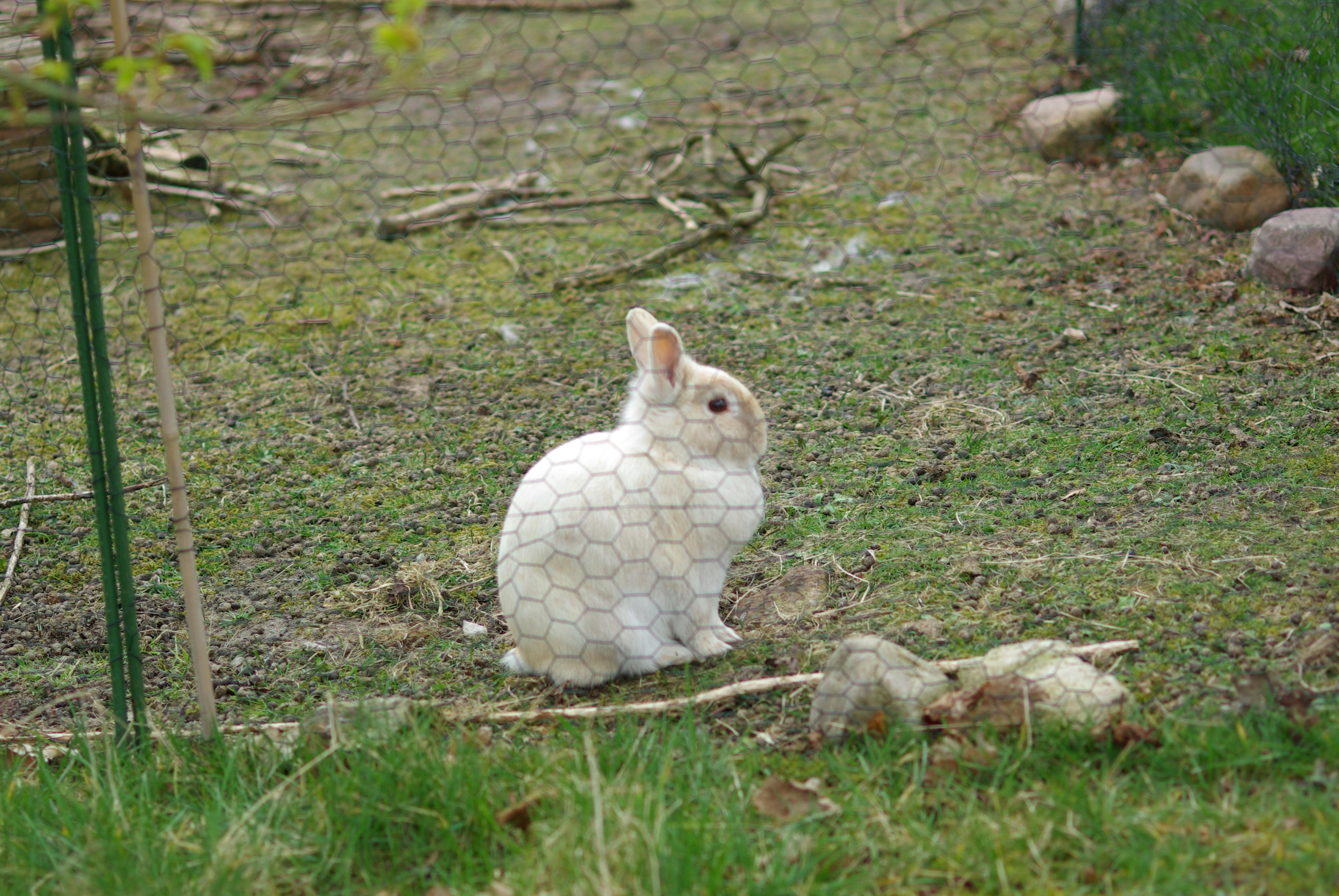 user avatar image for Tom Christoffers