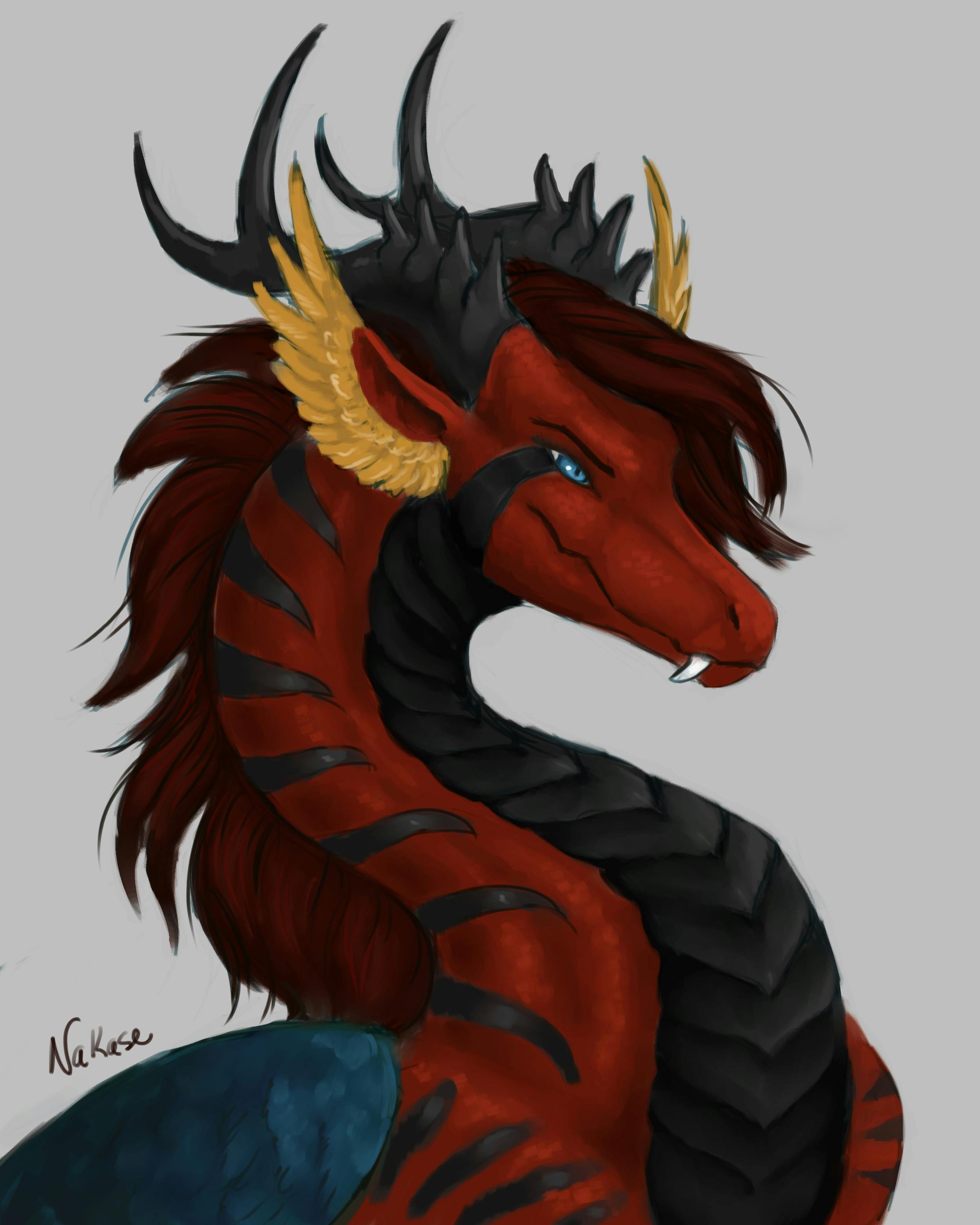 user avatar image for Nakase