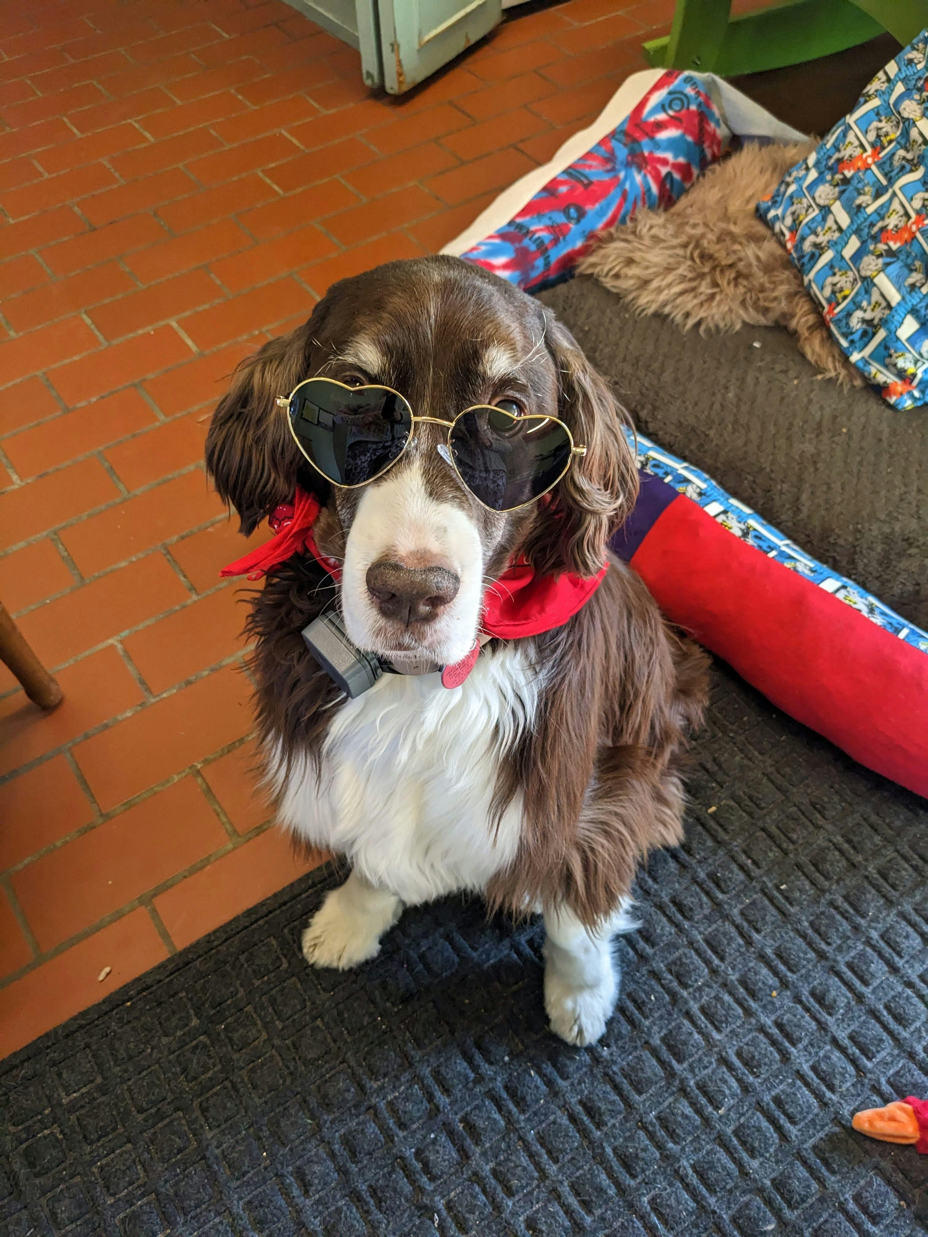 user avatar image for Emma Brown