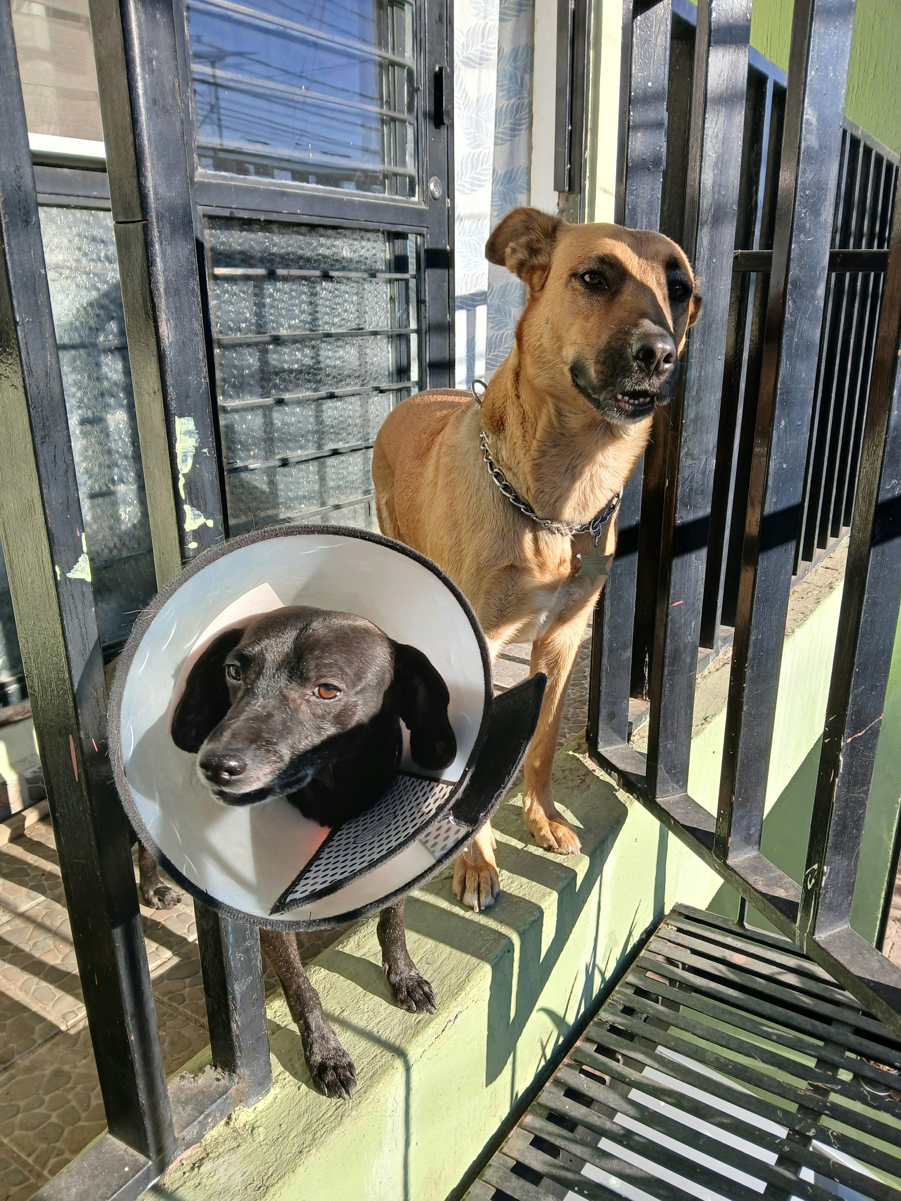 user avatar image for Mario Diaz Ruelas