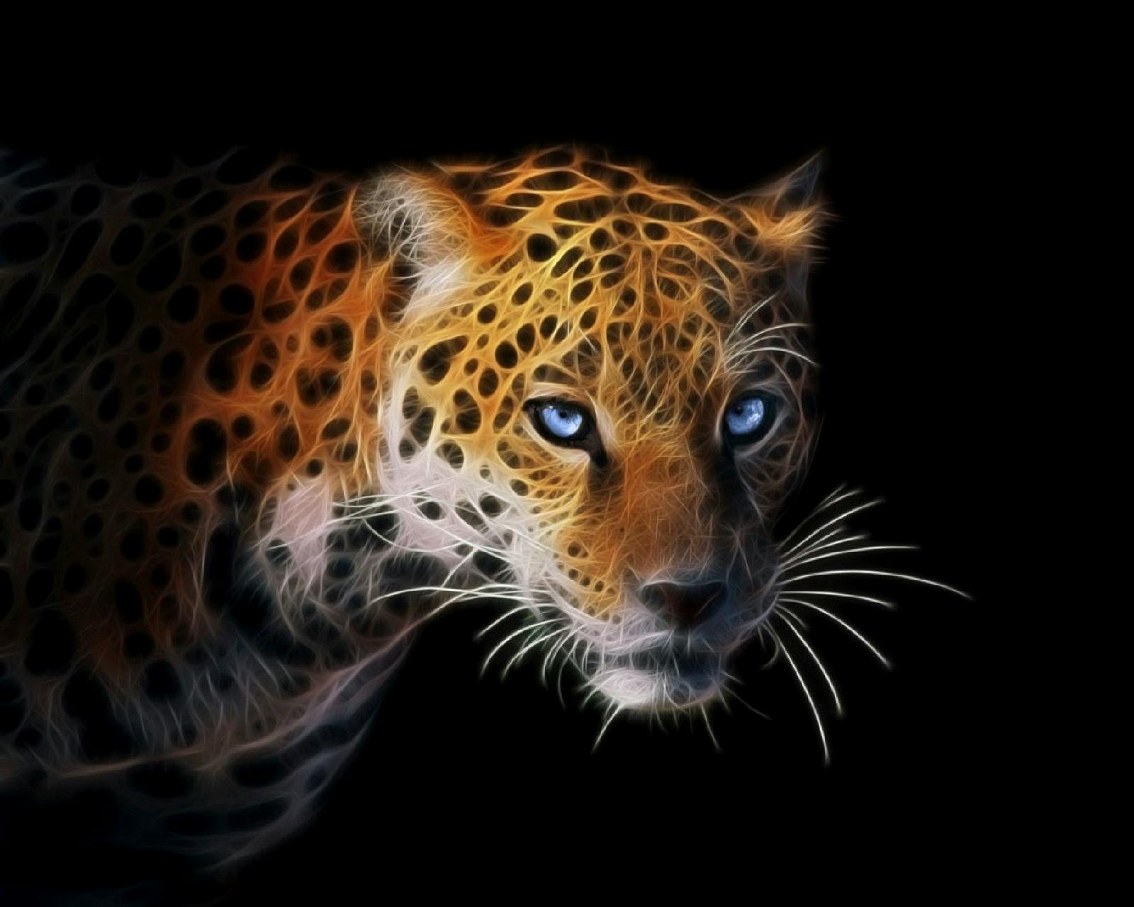 user avatar image for Chris