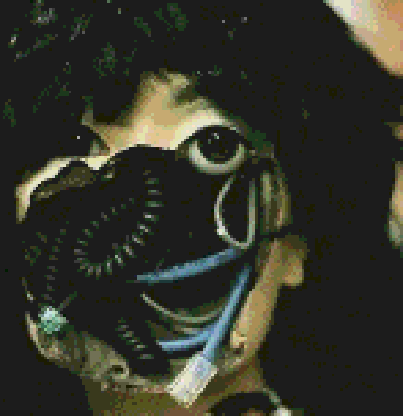 user avatar image for Jojo Carpio