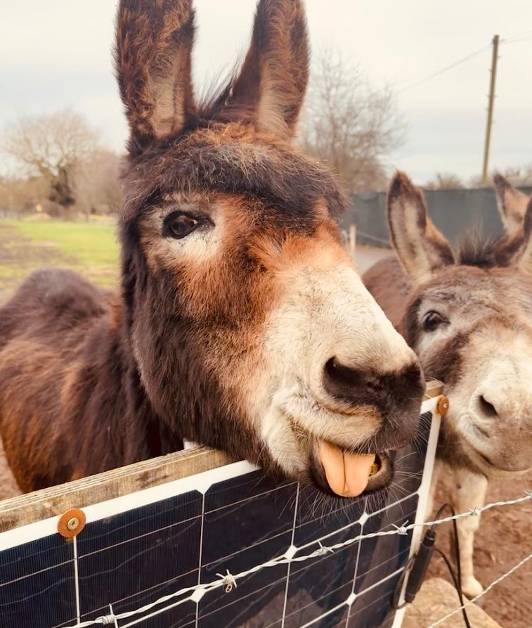 user avatar image for Steve Willmore 