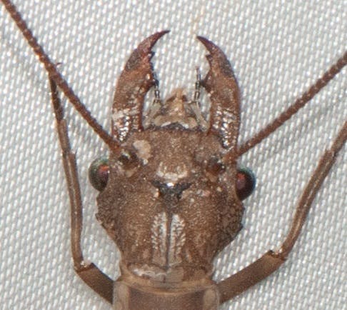 user avatar image for Justin Scioli