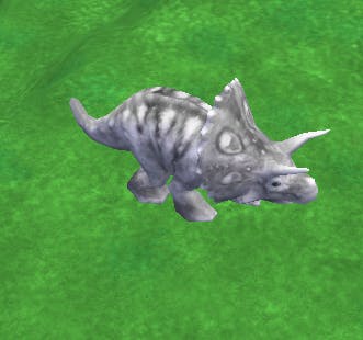 user avatar image for Kiwi