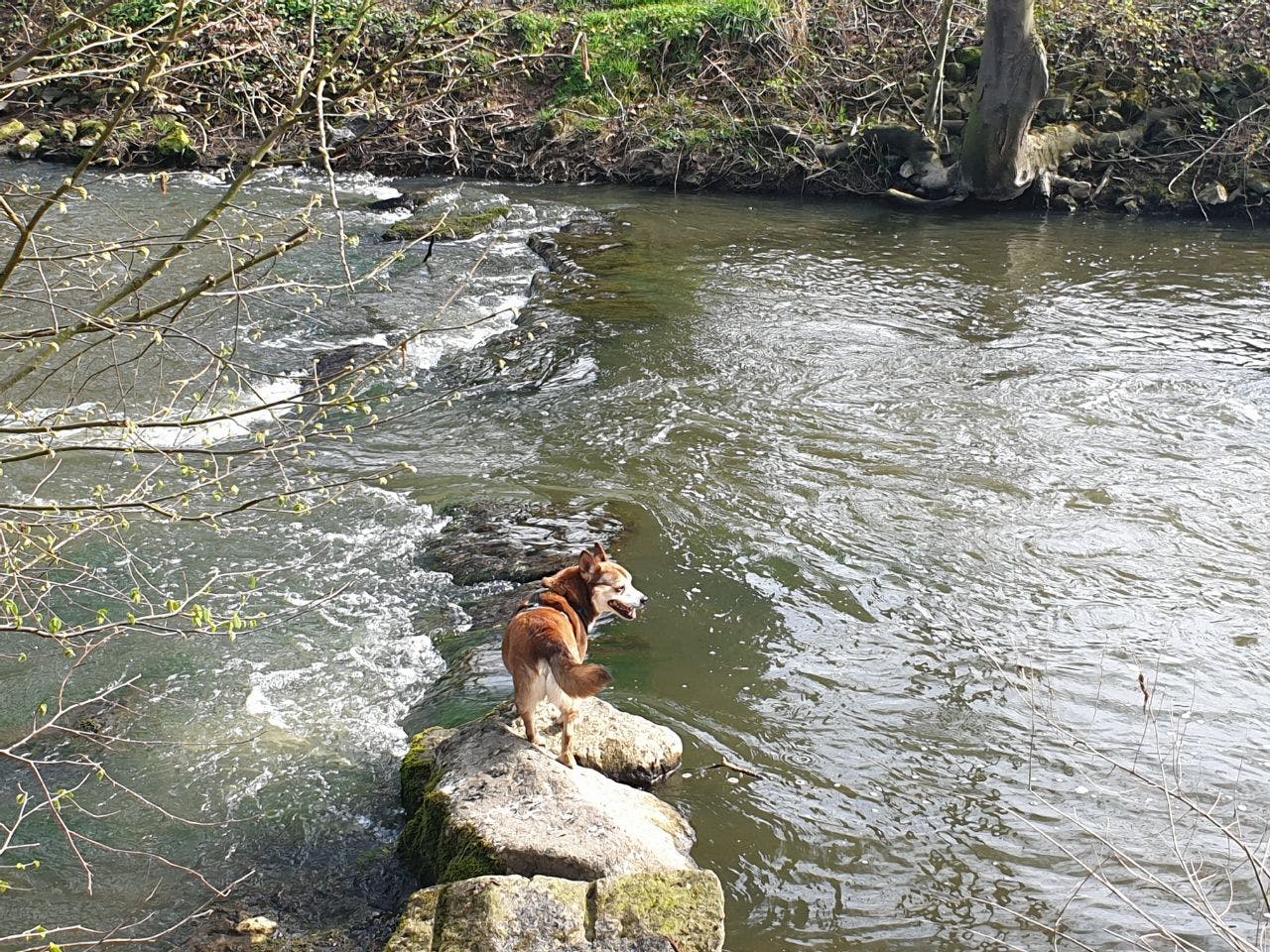 user avatar image for Noah