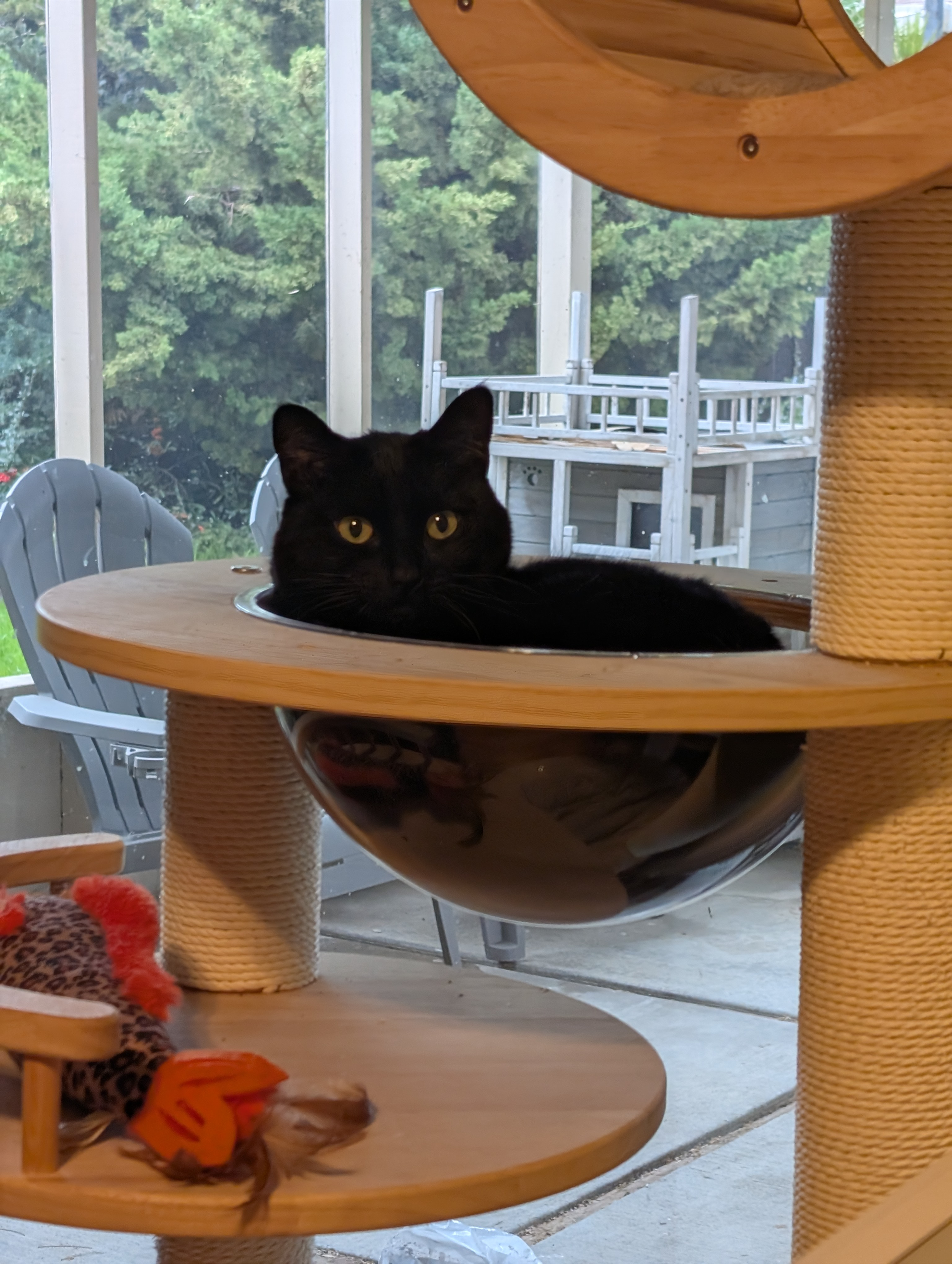 user avatar image for Jessica Bunting