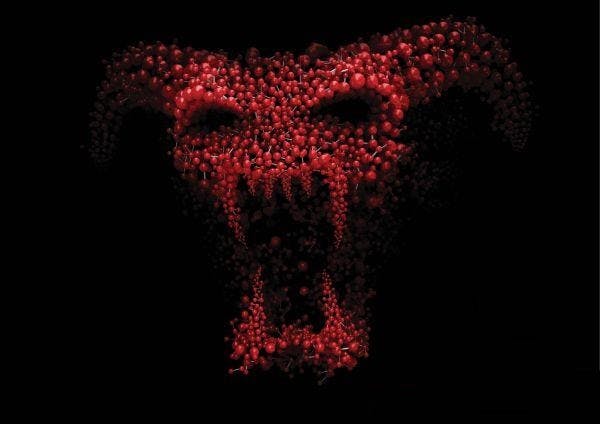 user avatar image for RobertJB001