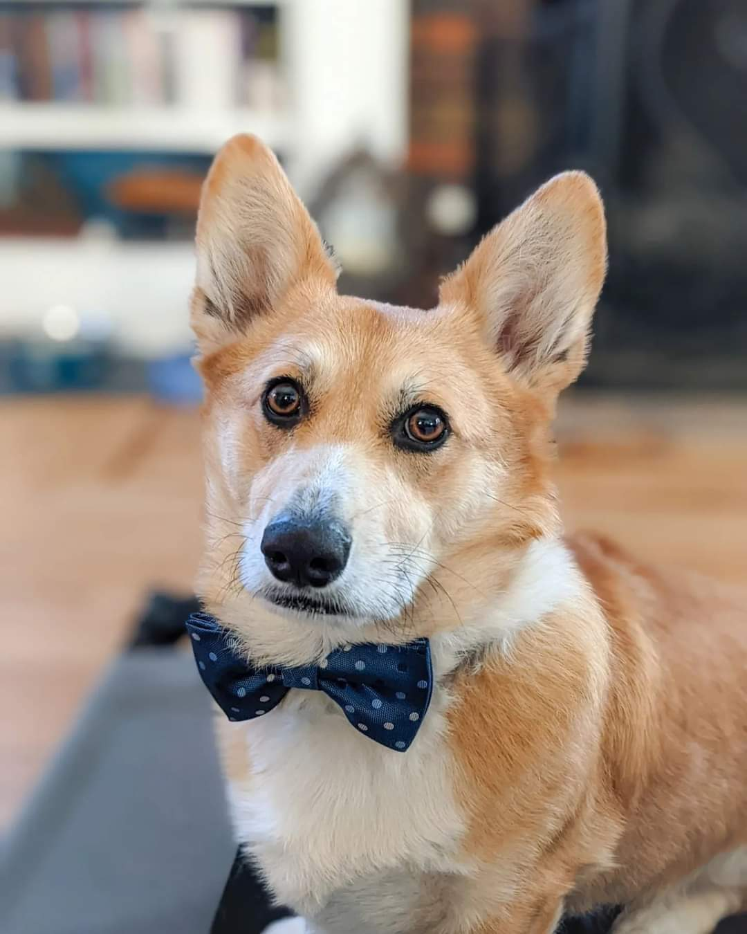 user avatar image for Johnathon