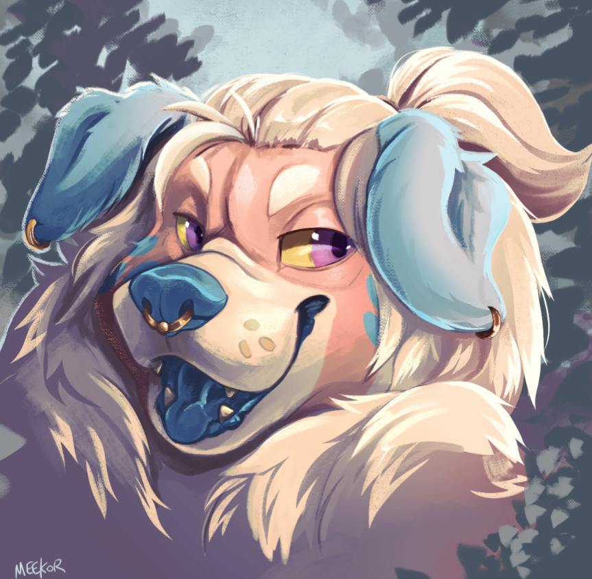 user avatar image for Maxx