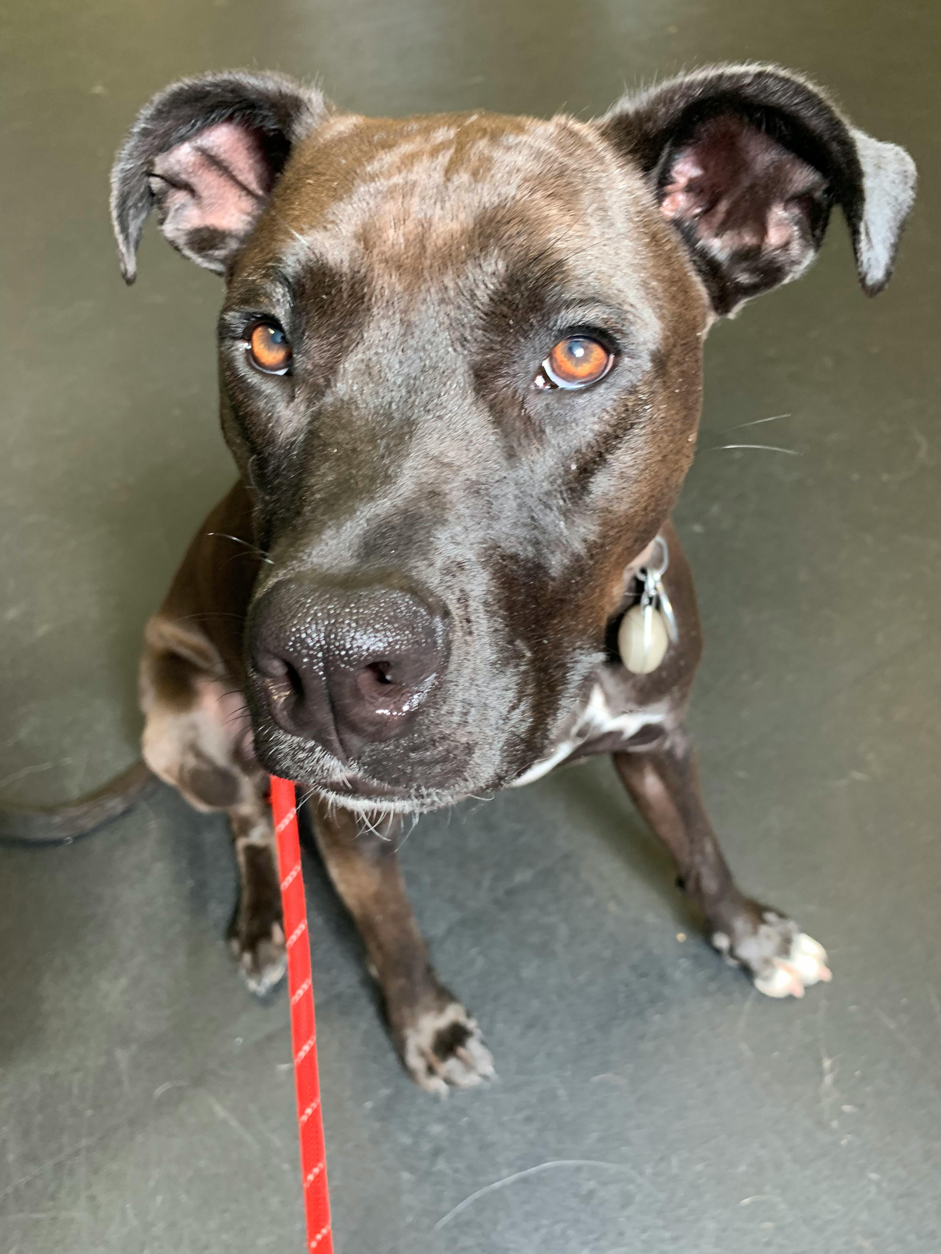 user avatar image for Coach-71