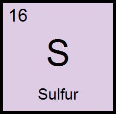 user avatar image for Collector Stacy