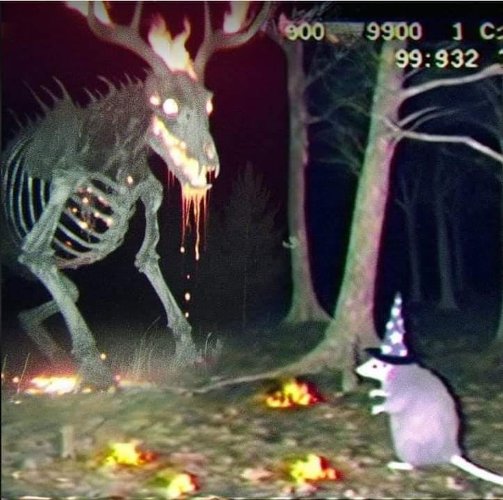 user avatar image for LookItsADogg