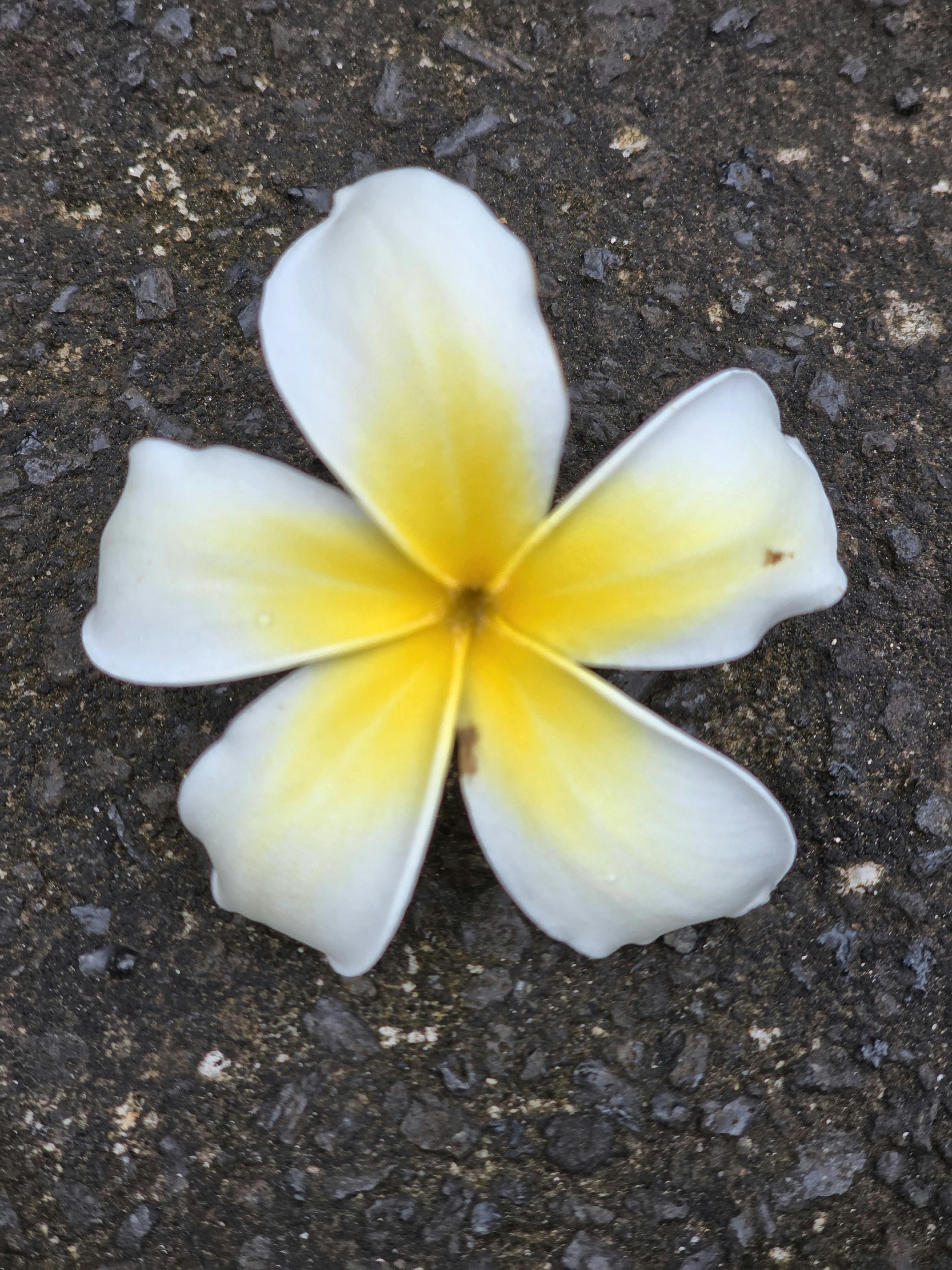 user avatar image for Karen F