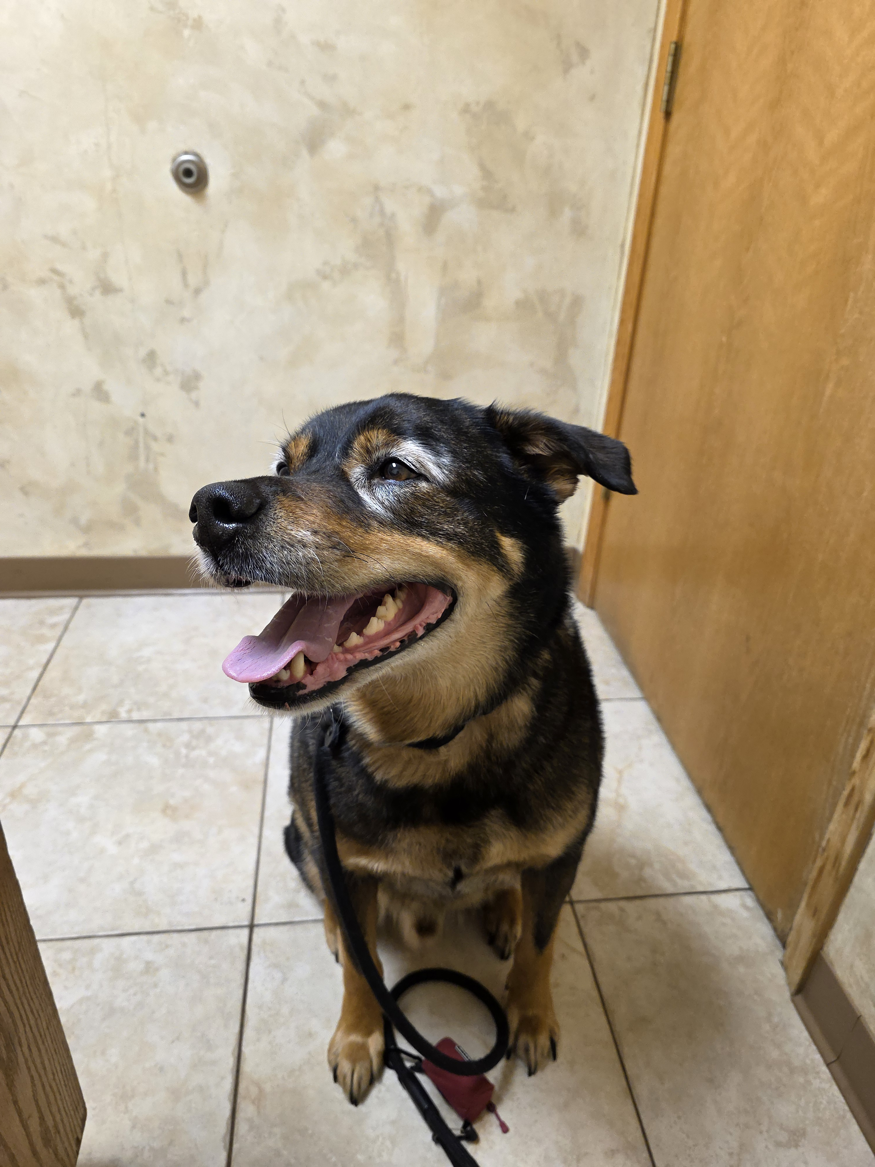 user avatar image for Erica Price