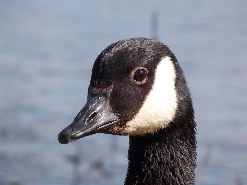 user avatar image for kevin