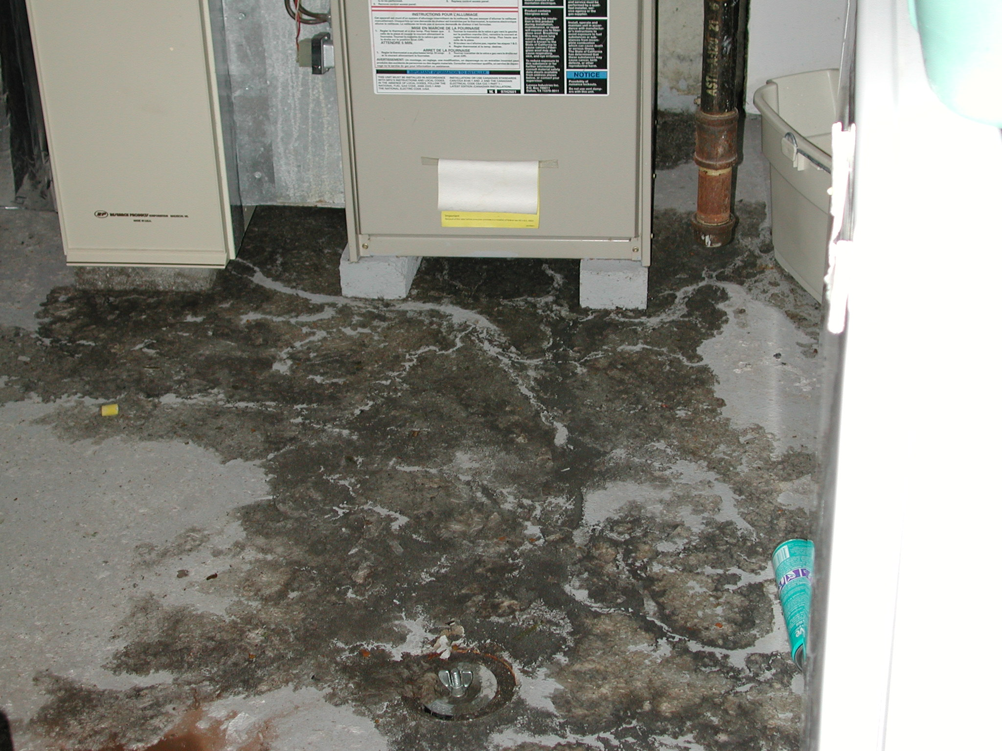 user avatar image for Tod Sistrunk