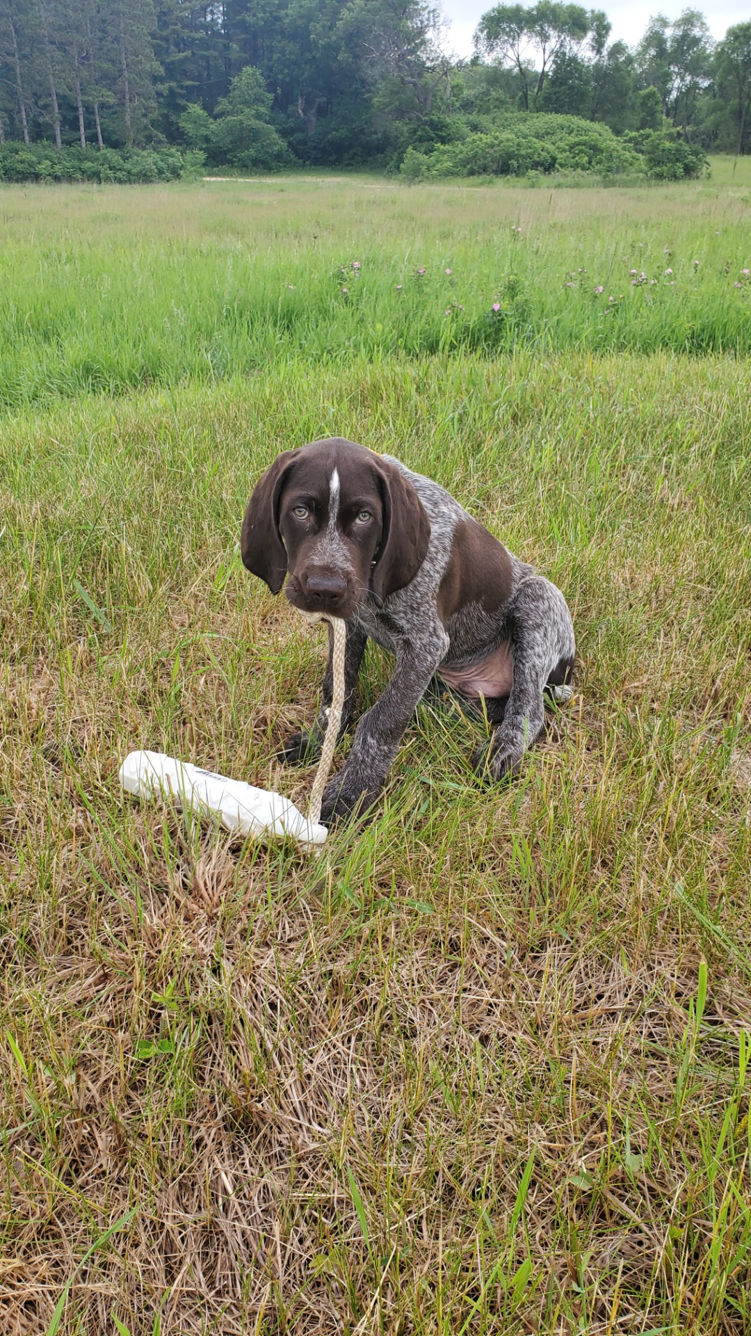 user avatar image for Todd Fritz