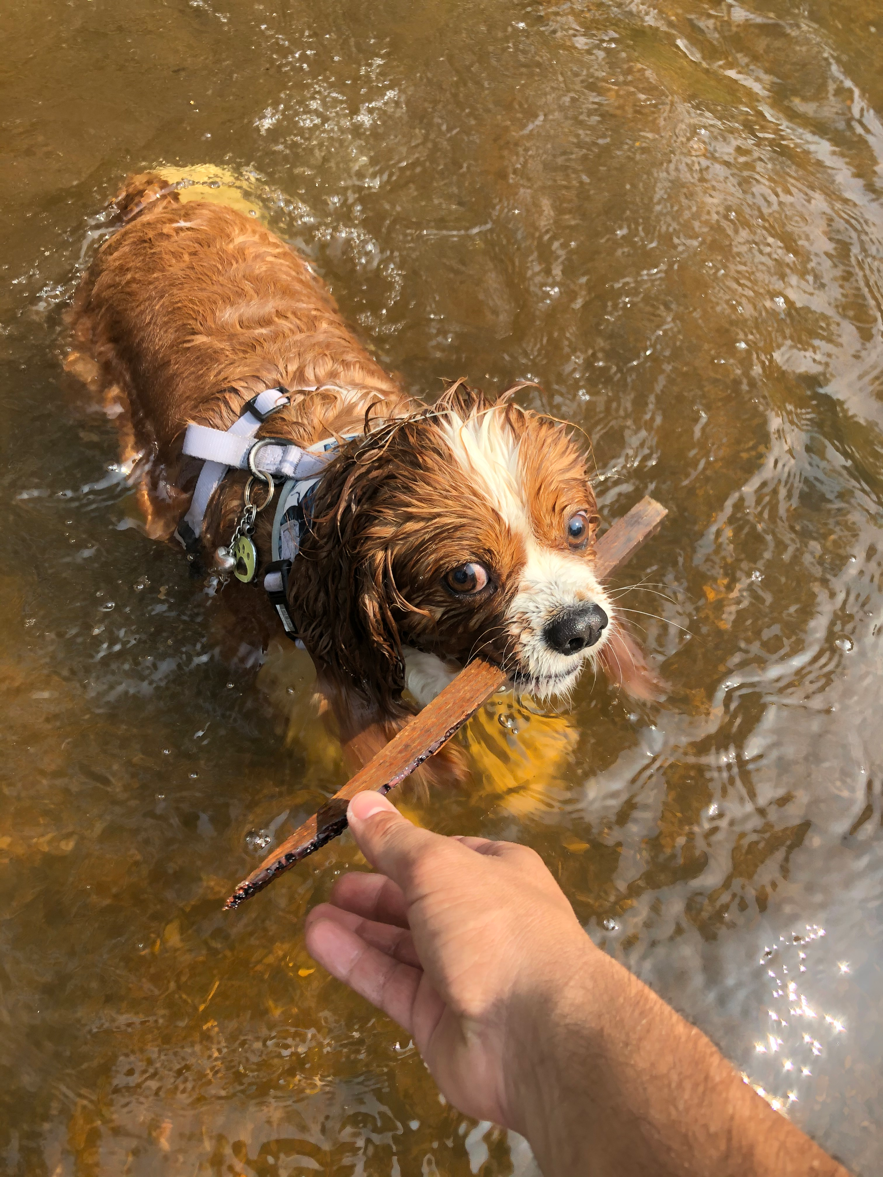 user avatar image for Burgundiii