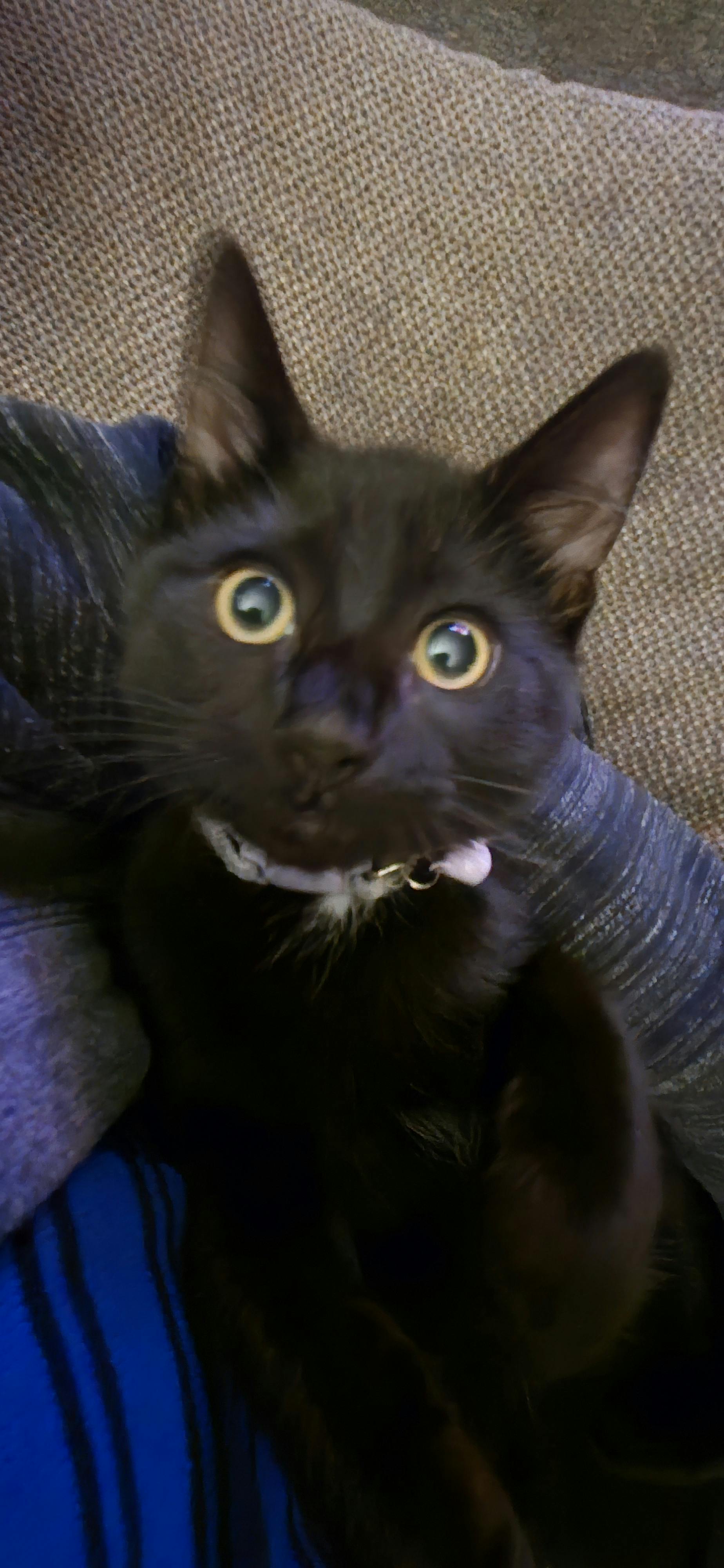 user avatar image for Nello