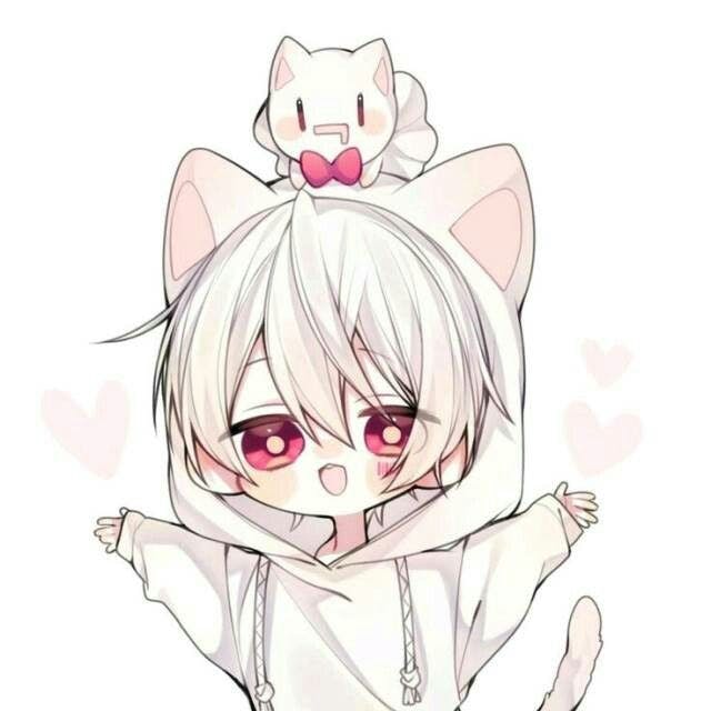 user avatar image for Cindy