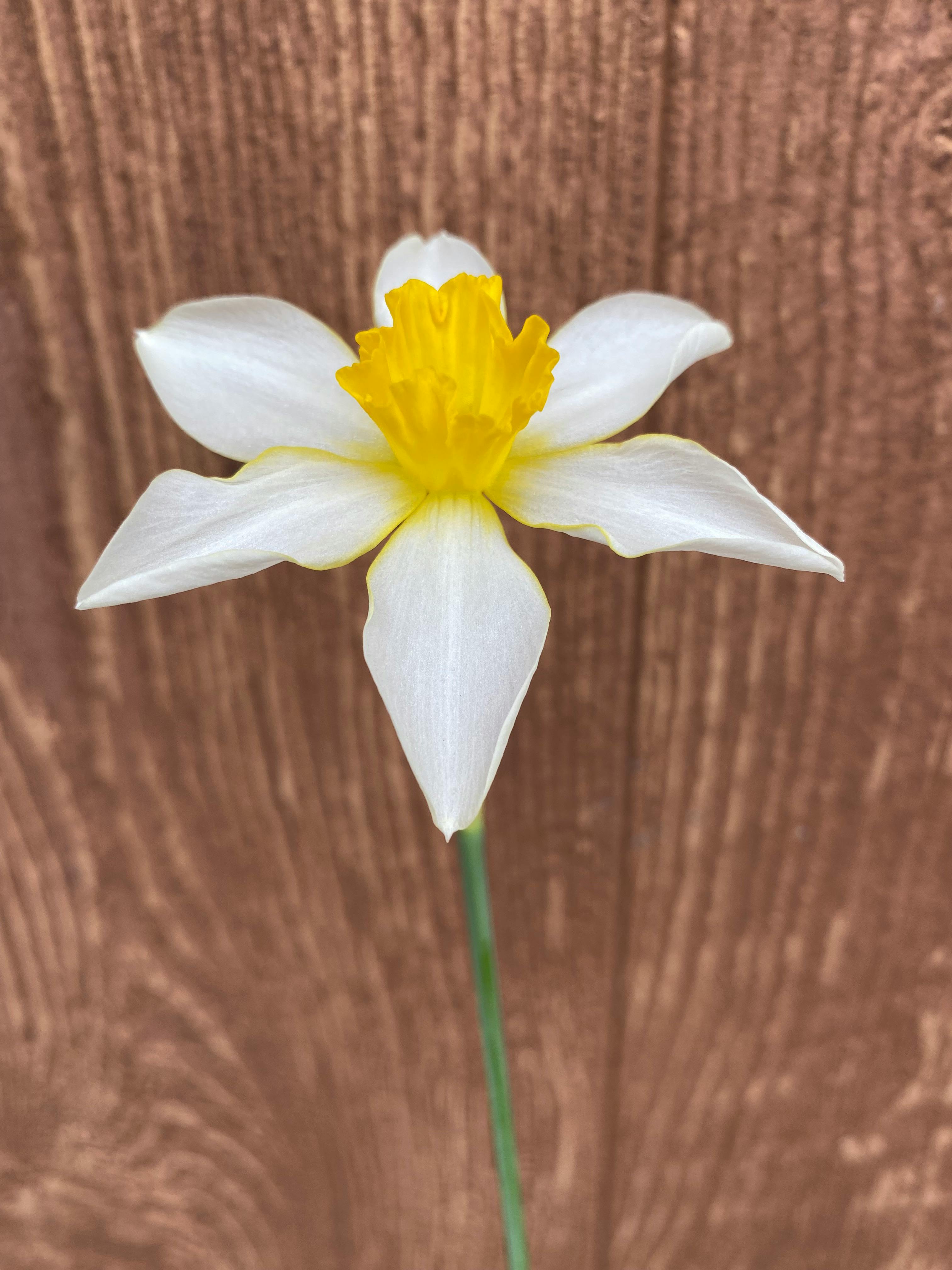 user avatar image for Angela Ang