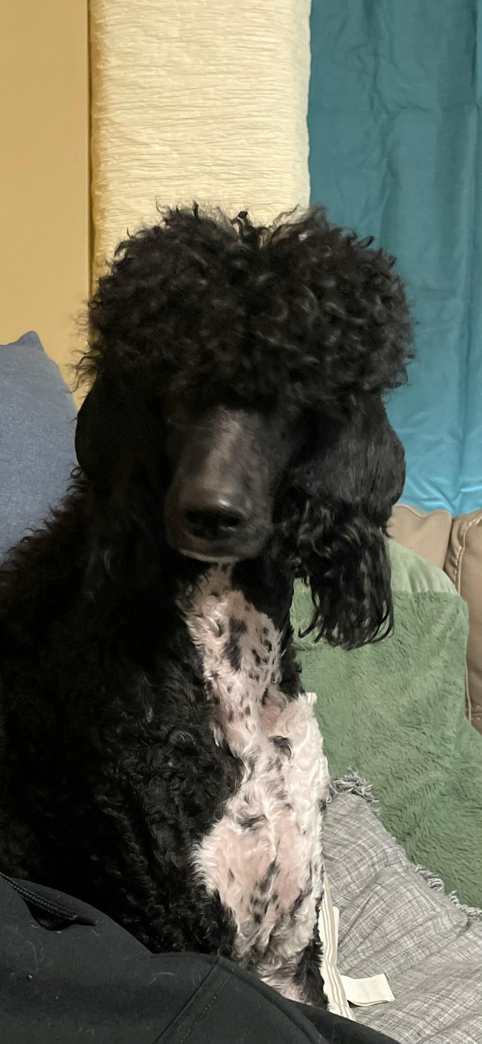 user avatar image for Jennifer Townsend