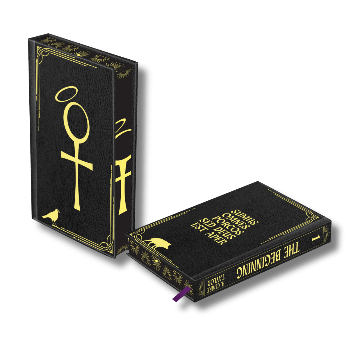 Hardcover Special Edition: The Beginning + "A Great Gulf"