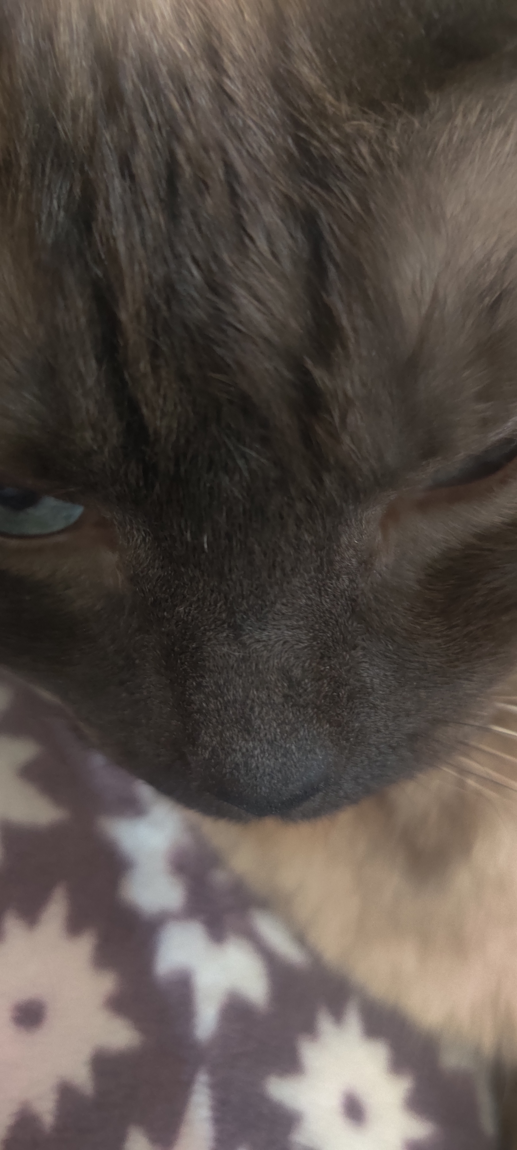 user avatar image for Evelyn