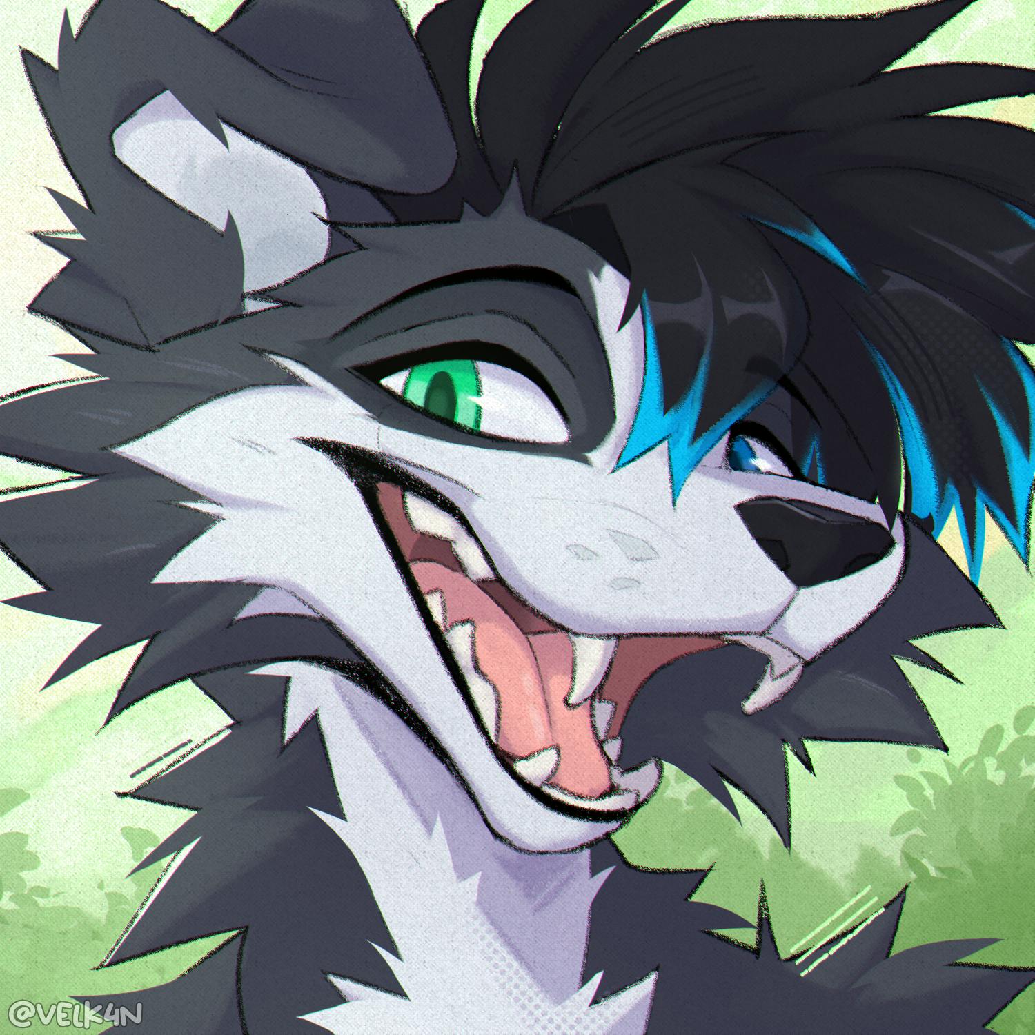 user avatar image for SevelleV