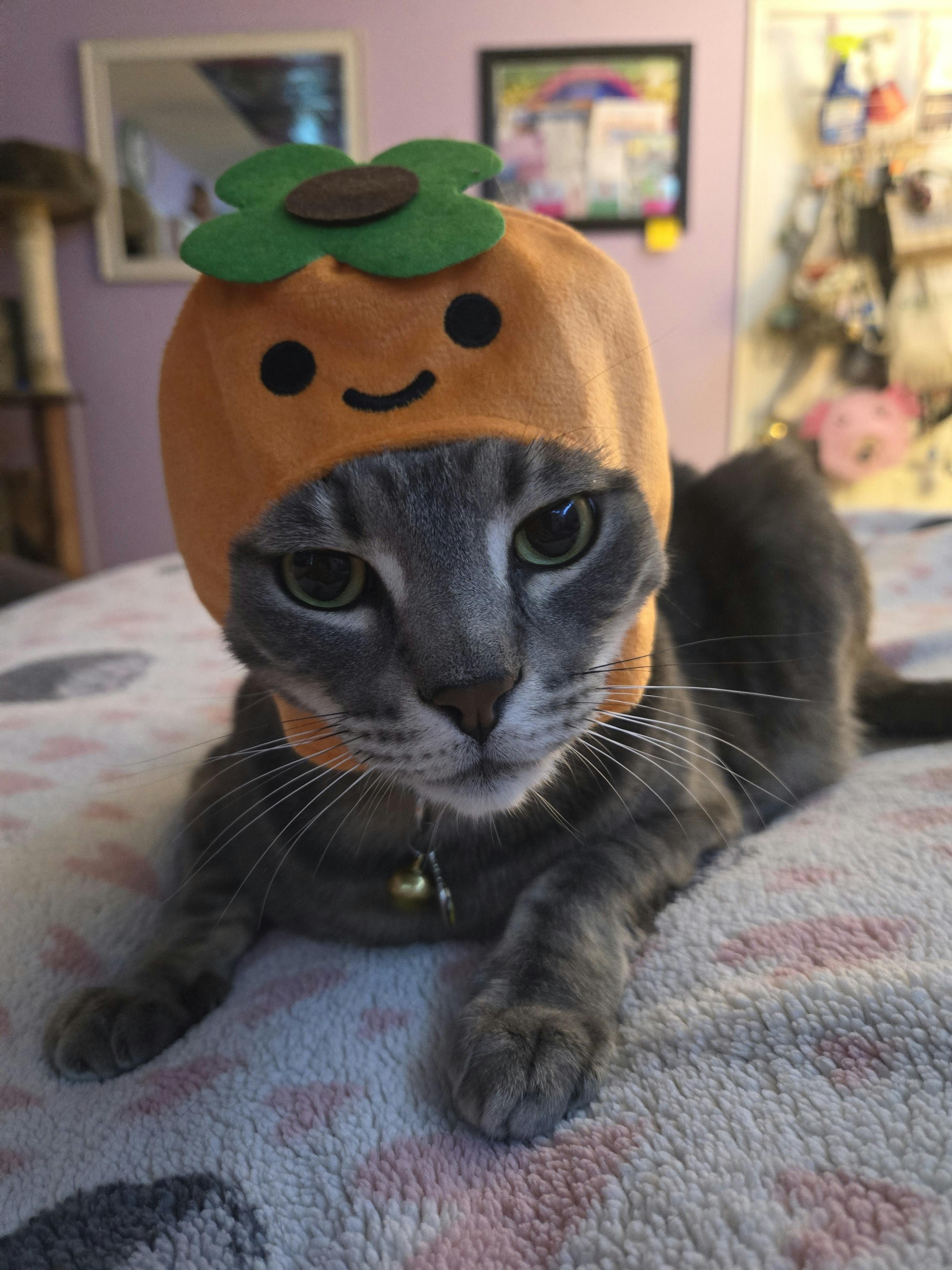 user avatar image for Amber 